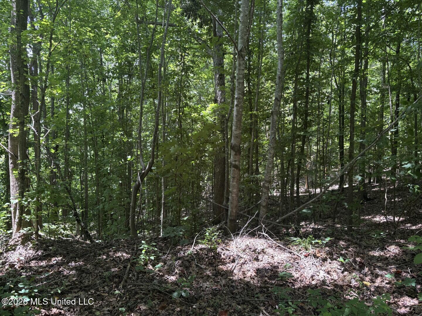 County Road 180 Property Photo 20