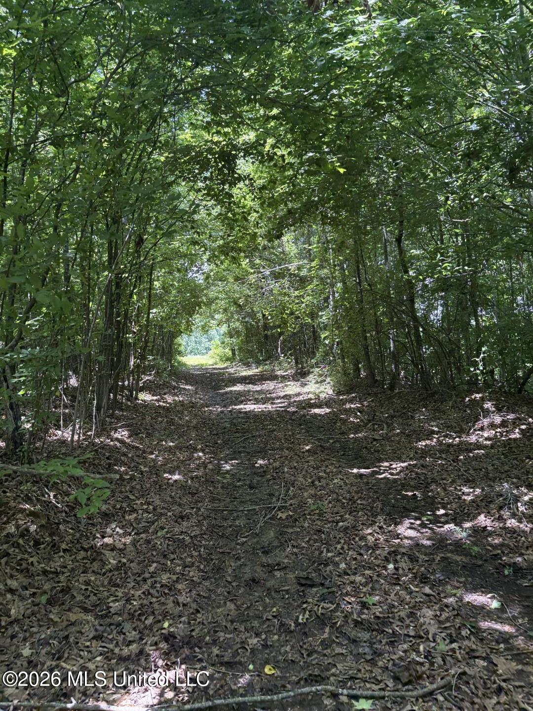 County Road 180 Property Photo 21