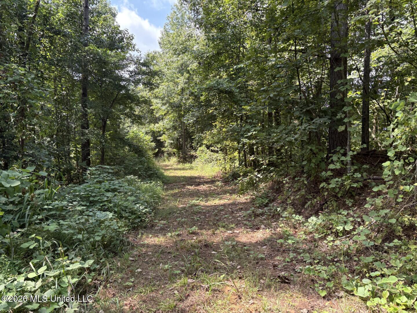 County Road 180 Property Photo 21
