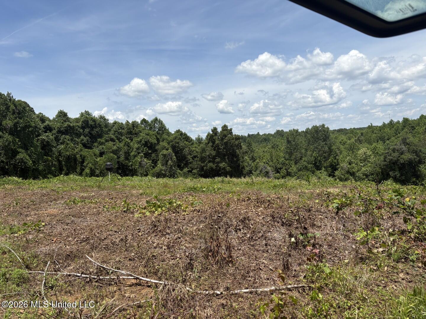 County Road 180 Property Photo 22