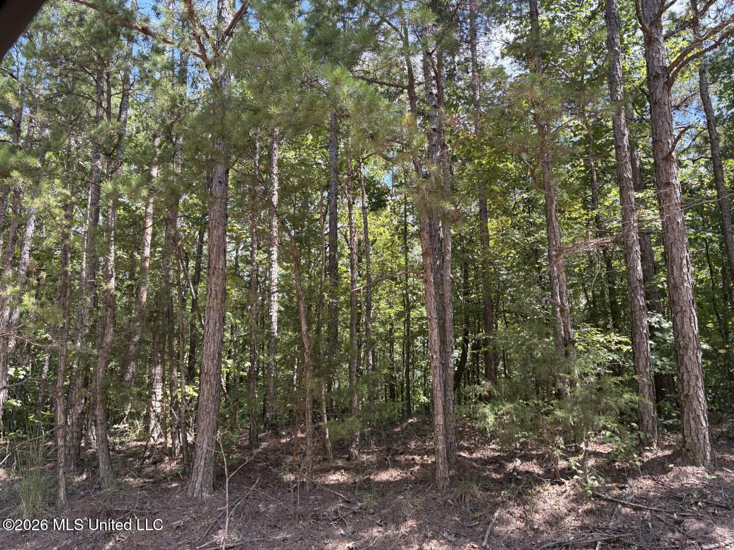 County Road 180 Property Photo 22