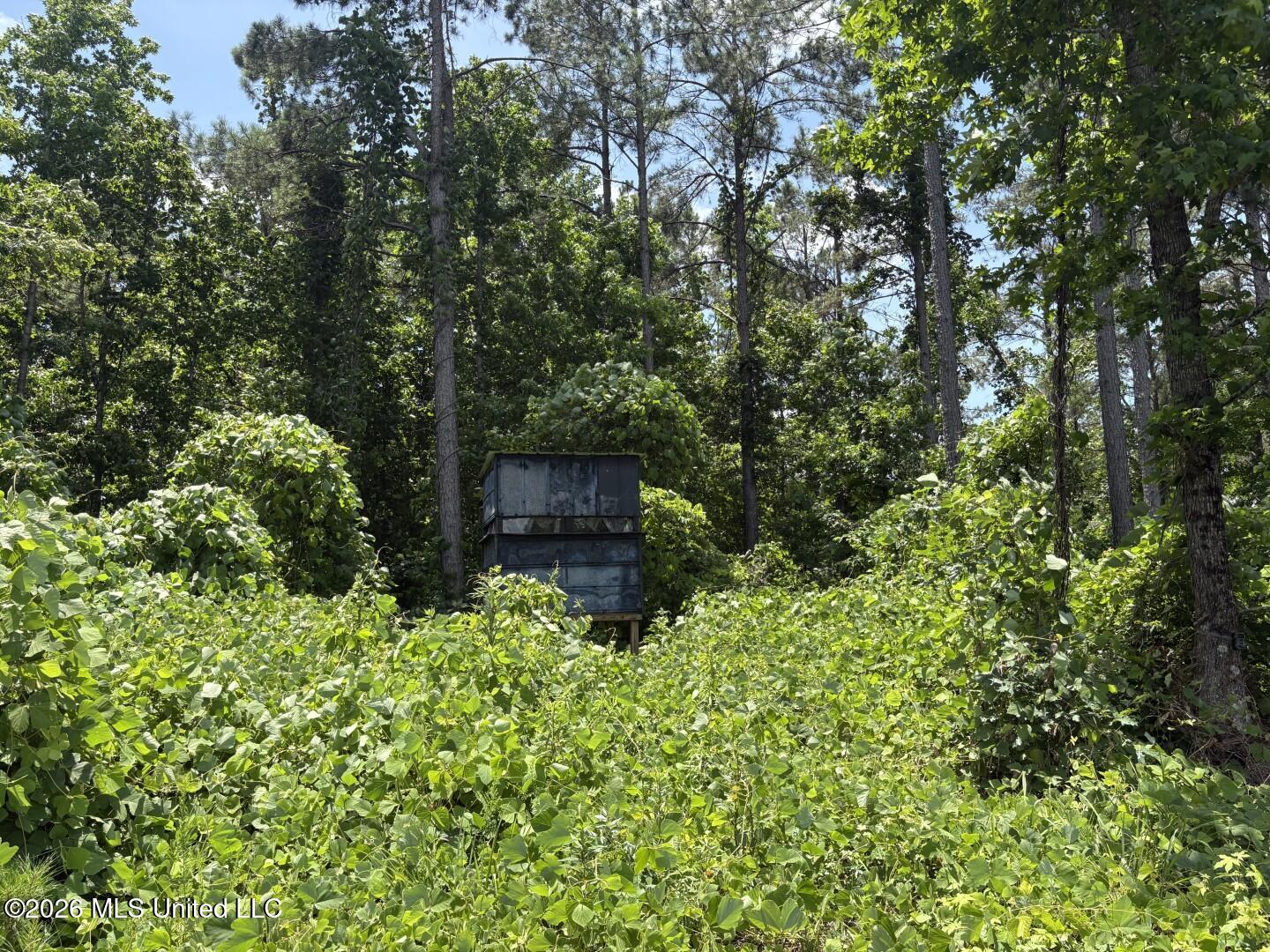 County Road 180 Property Photo 23