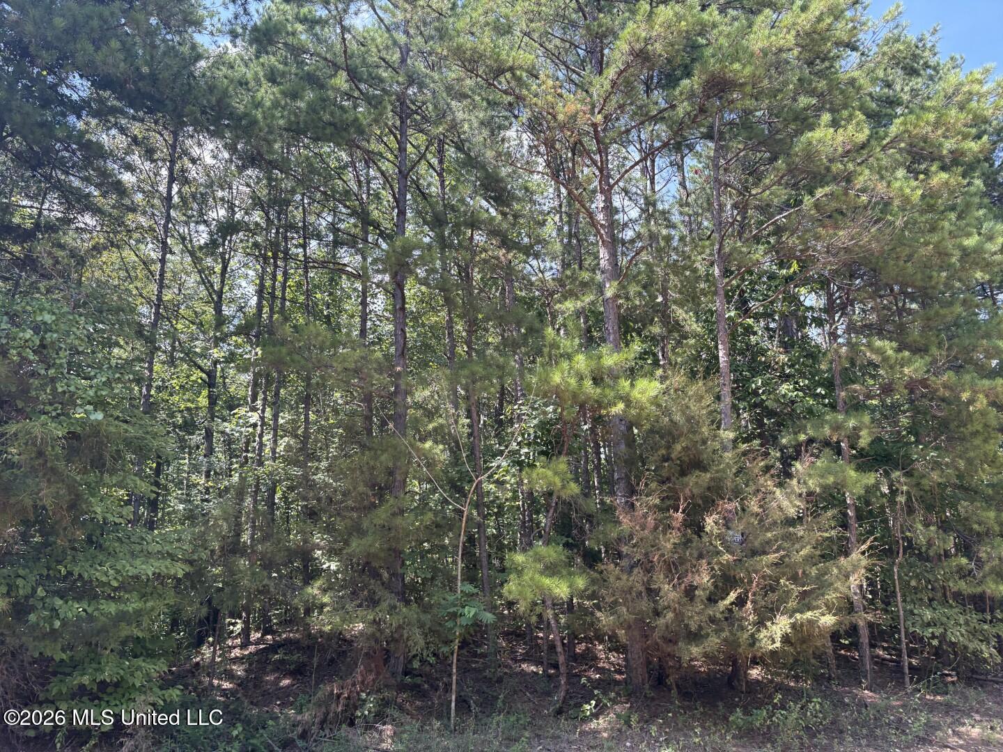 County Road 180 Property Photo 23