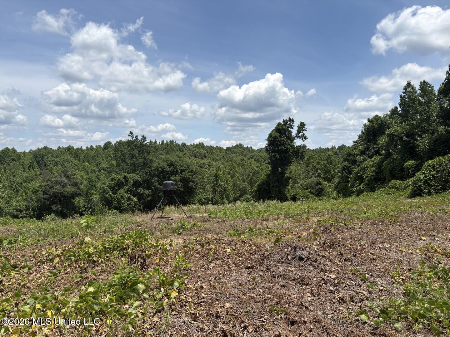 County Road 180 Property Photo 24