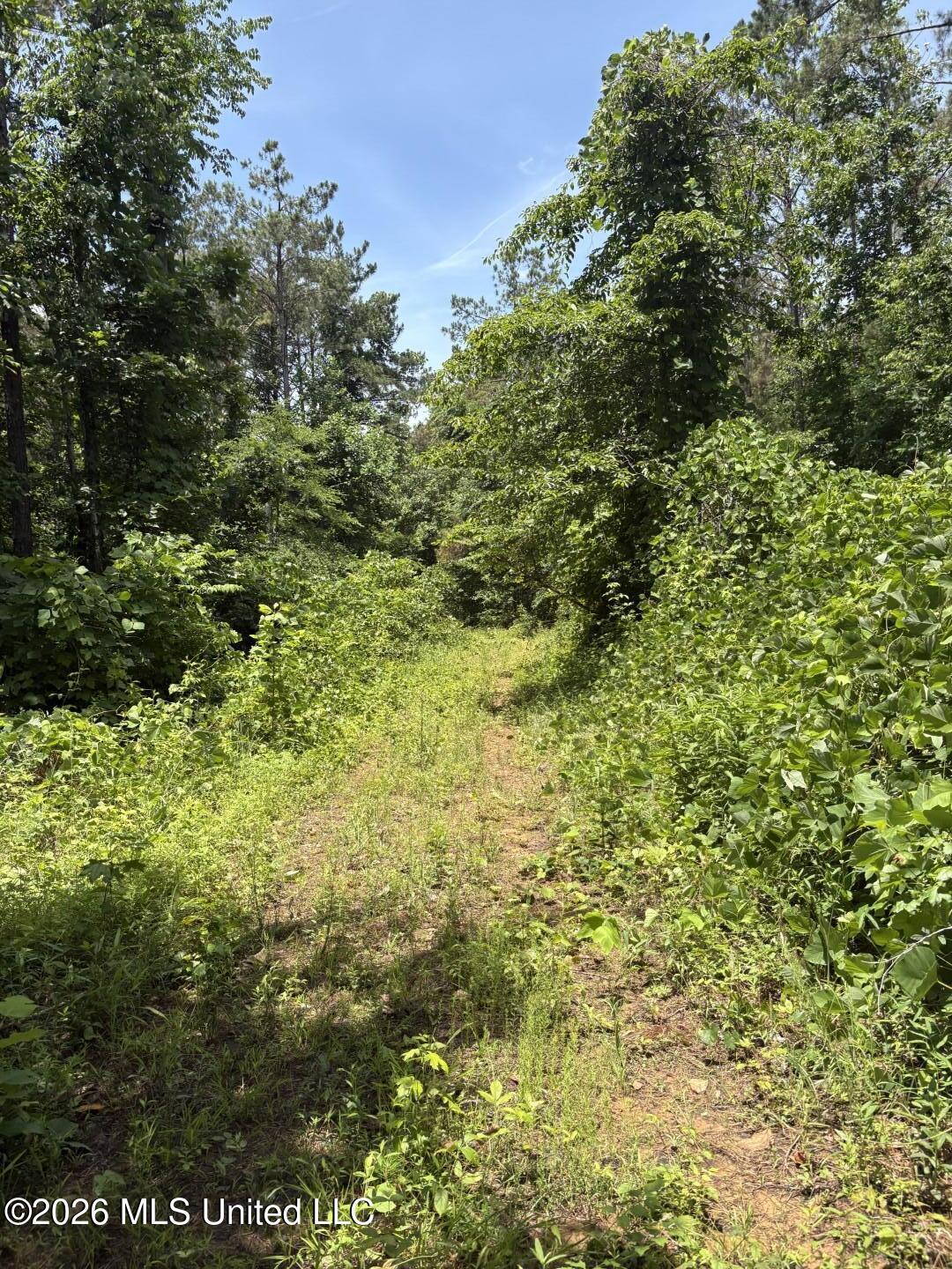 County Road 180 Property Photo 25
