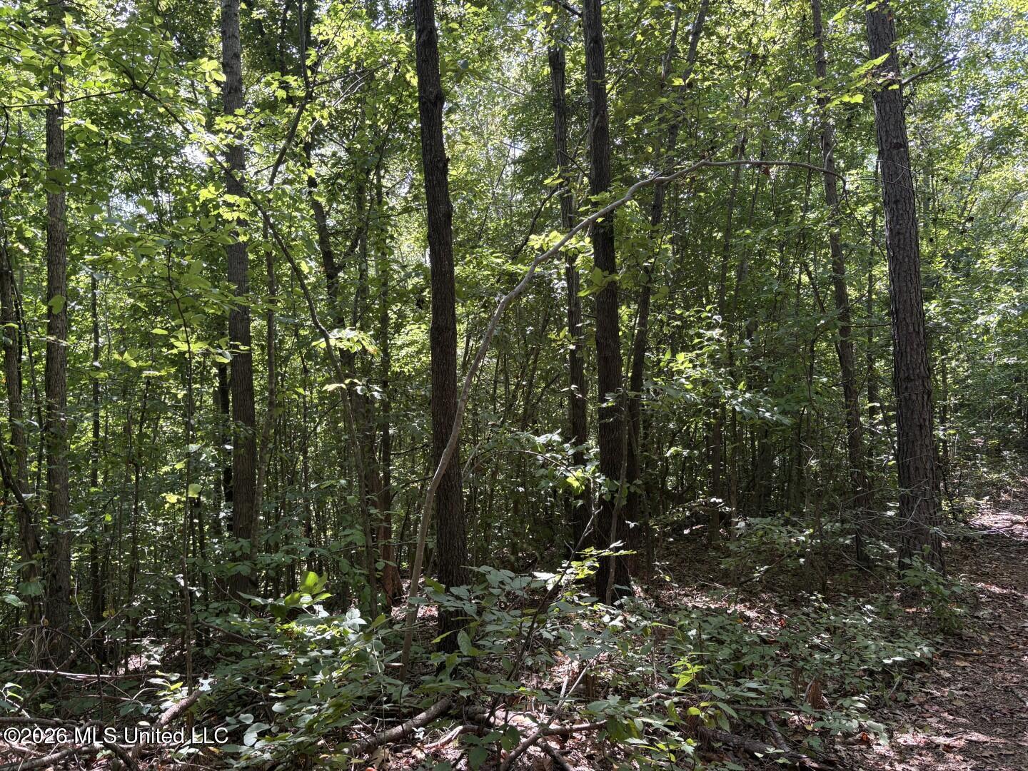 County Road 180 Property Photo 25
