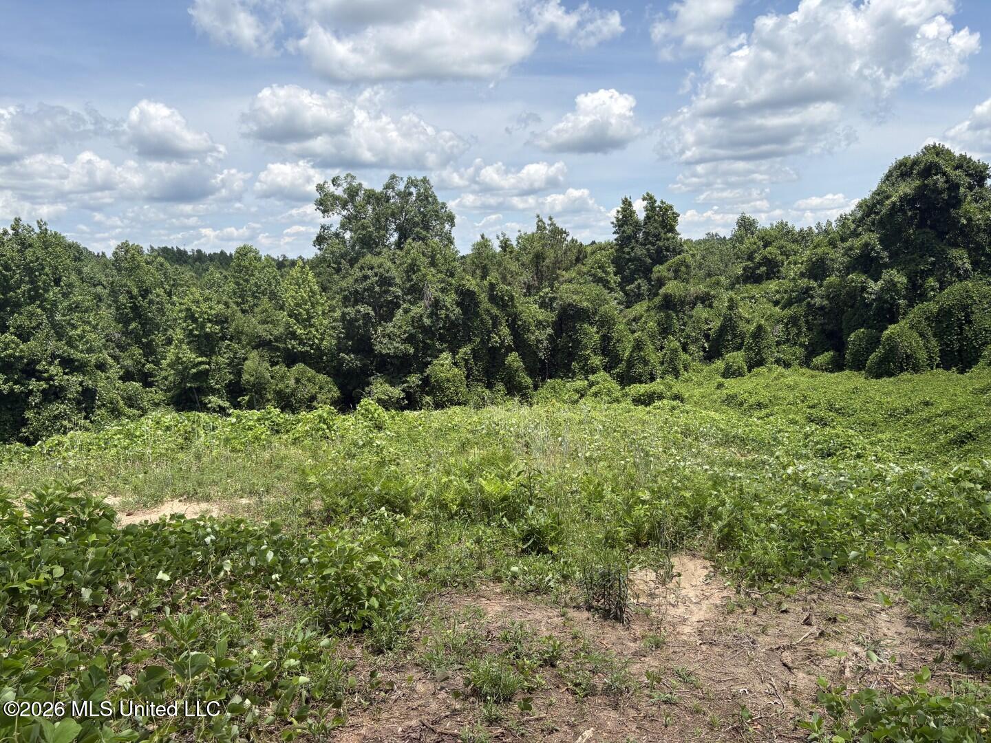 County Road 180 Property Photo 27