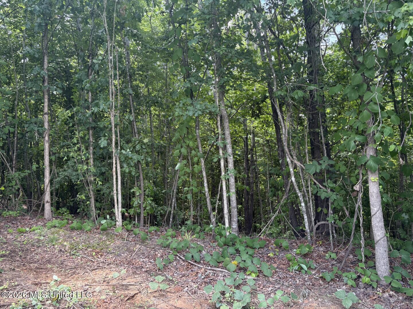 County Road 180 Property Photo 28