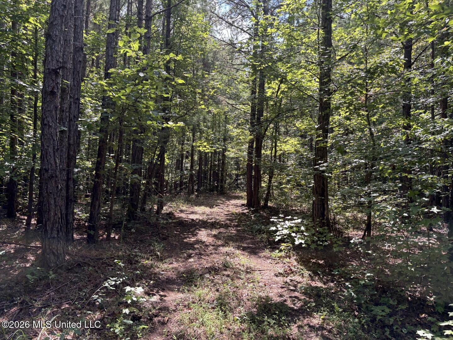County Road 180 Property Photo 29
