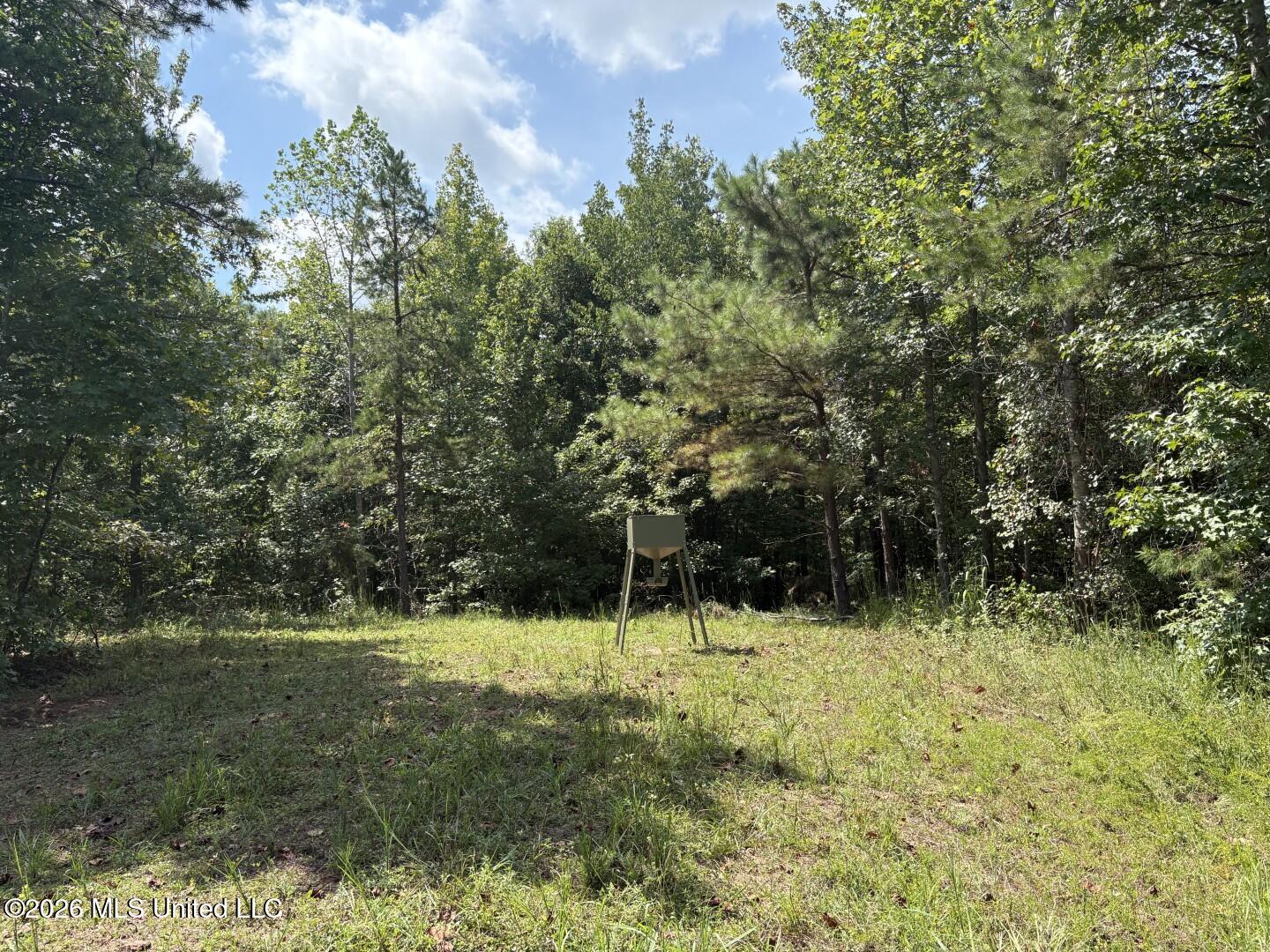 County Road 180 Property Photo 30