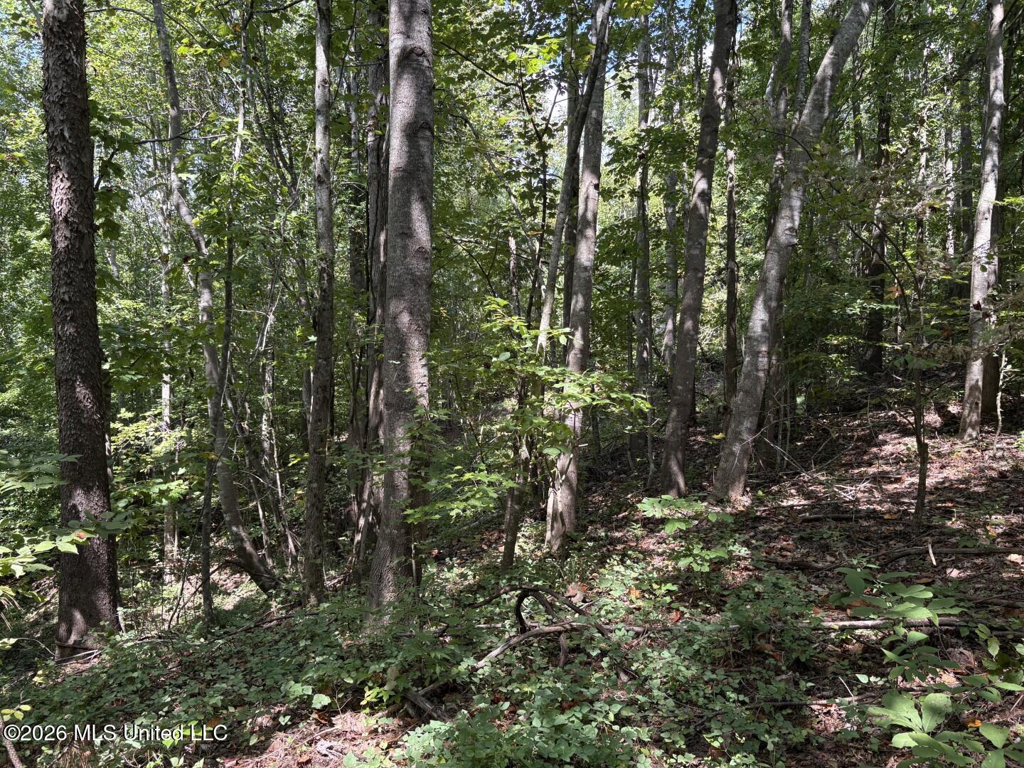 County Road 180 Property Photo 31