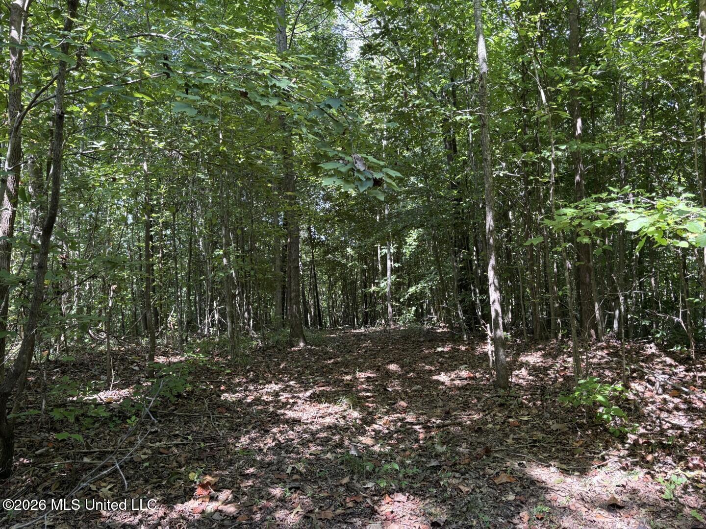 County Road 180 Property Photo 32