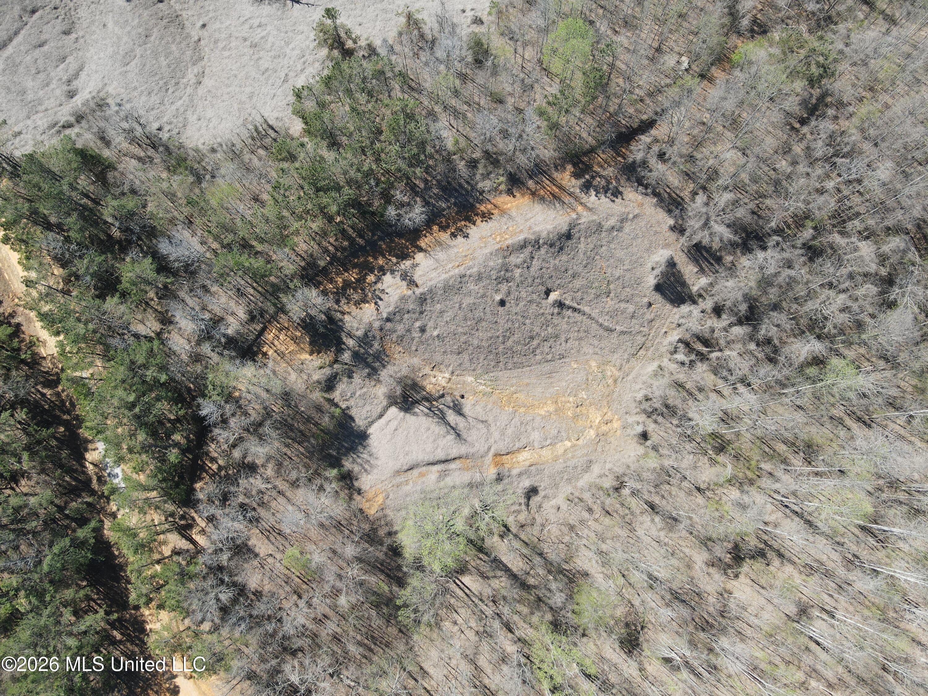 County Road 180 Property Photo 40