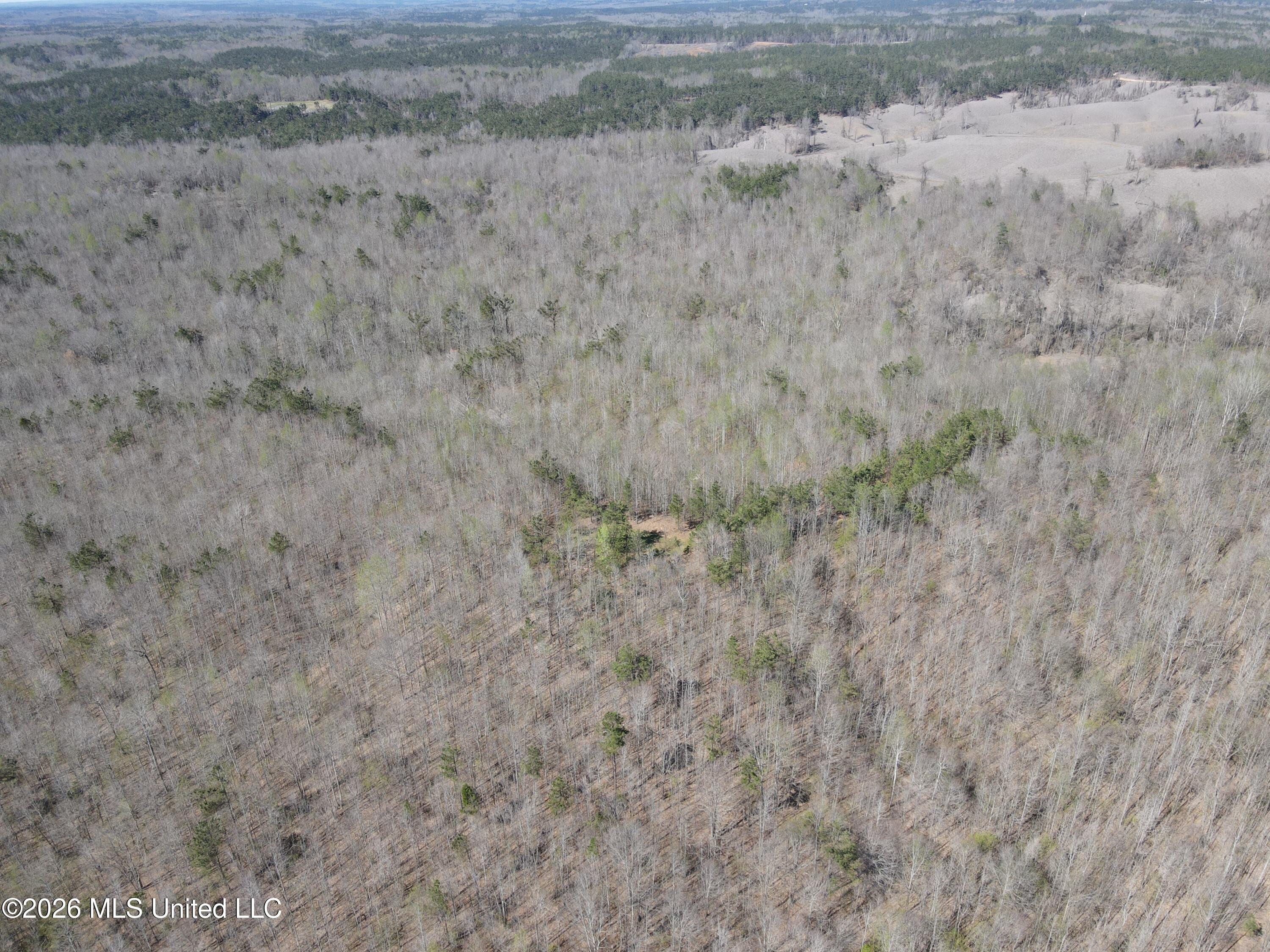 County Road 180 Property Photo 46