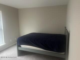 6255 Arlington Lane Property Photo 15