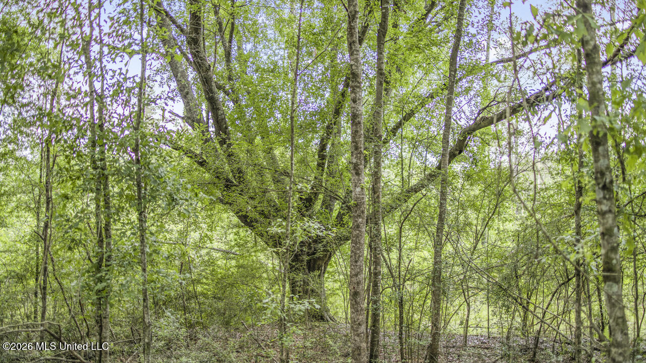 1021 Tyler Drive Property Photo 25