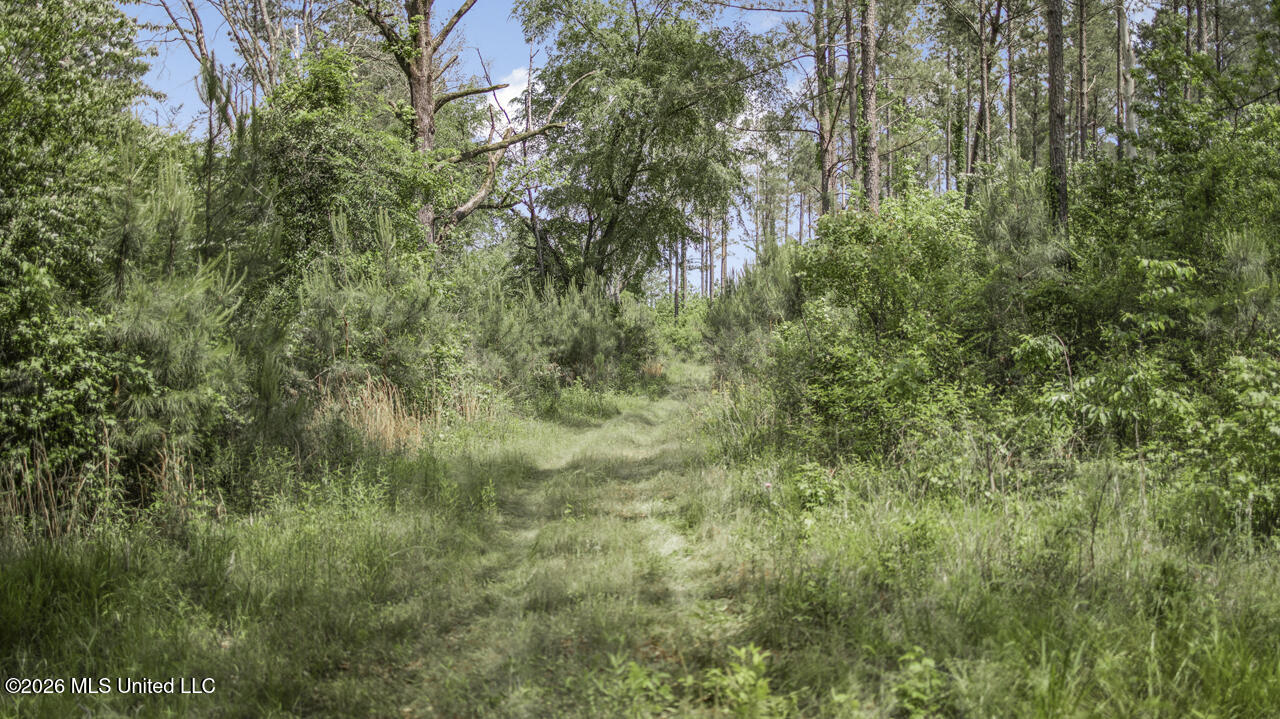 1021 Tyler Drive Property Photo 29