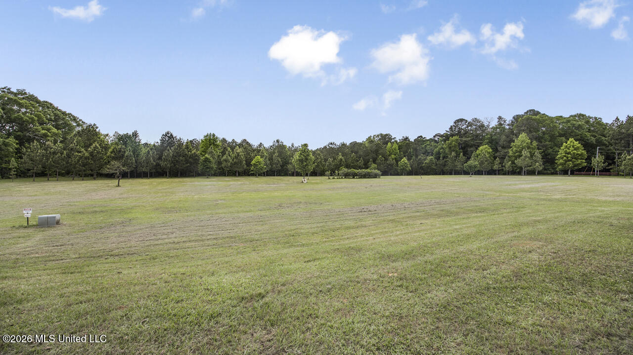 1021 Tyler Drive Property Photo 31
