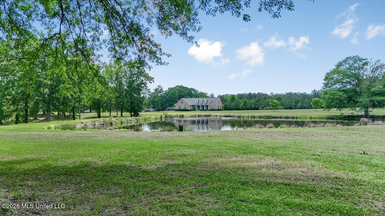 1021 Tyler Drive Property Photo 43