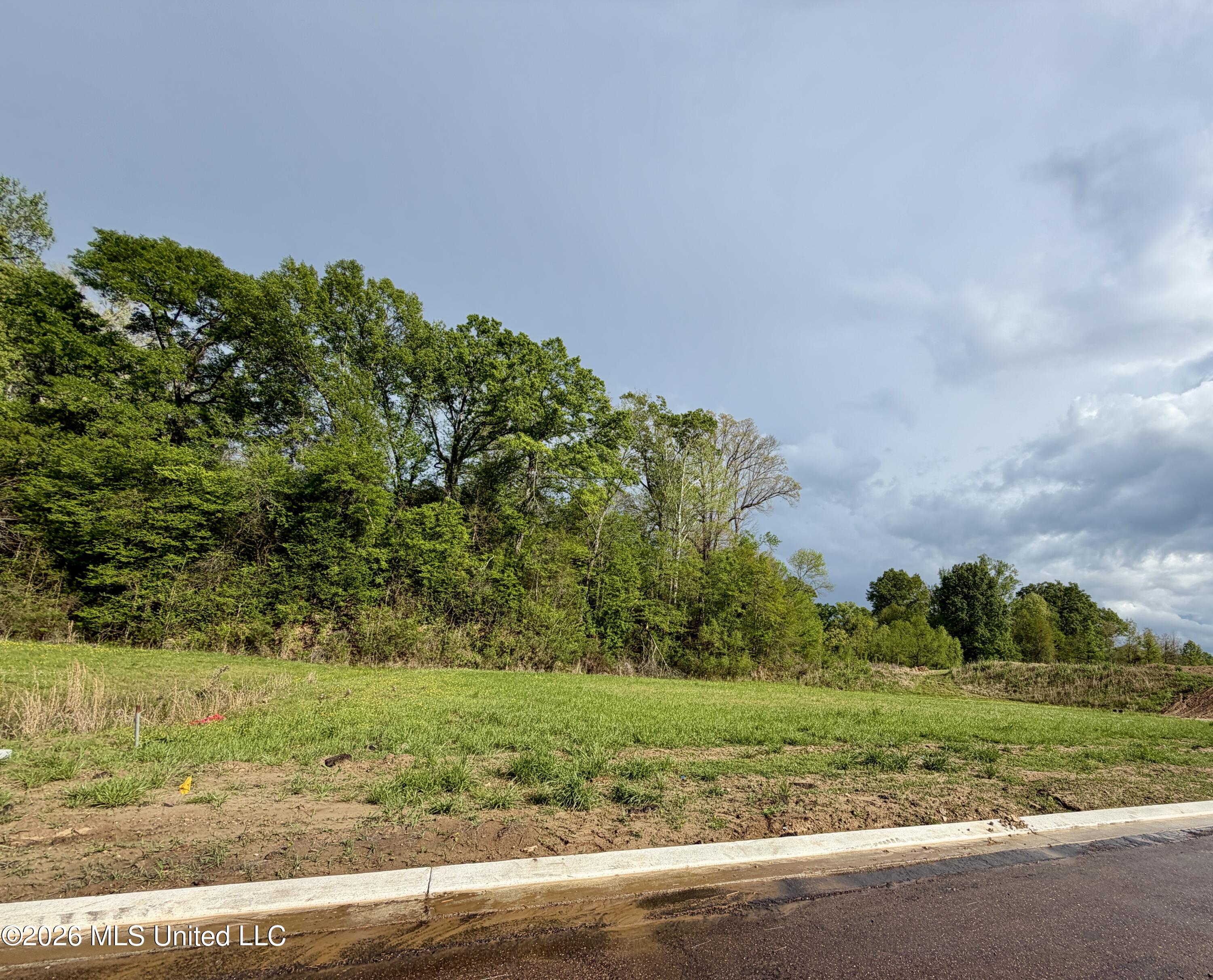 00 Plainview Dr Lot 4 Property Photo 2