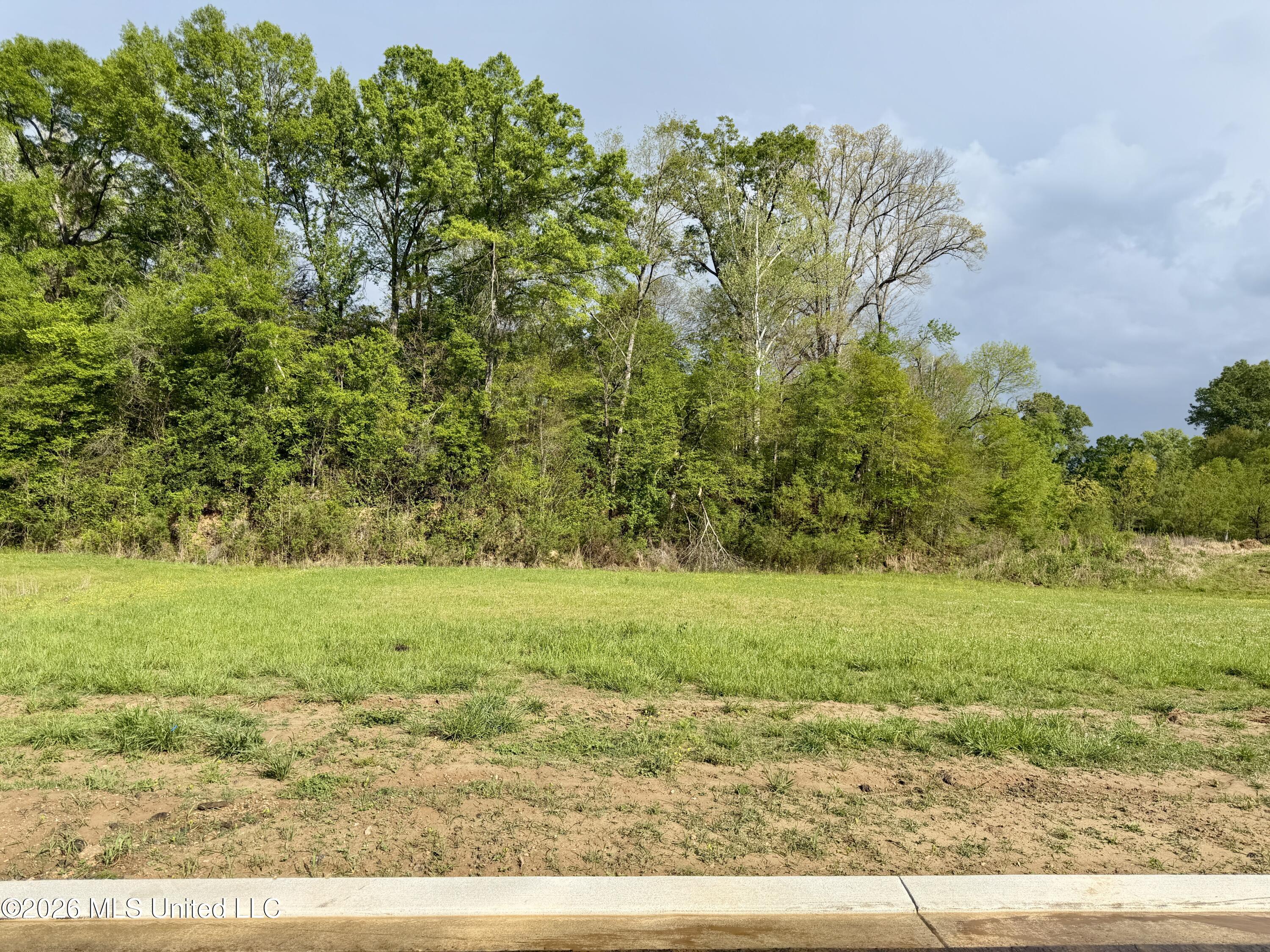 00 Plainview Dr Lot 4 Property Photo 3