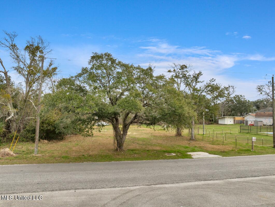 234 Fleitas Avenue Property Photo 6