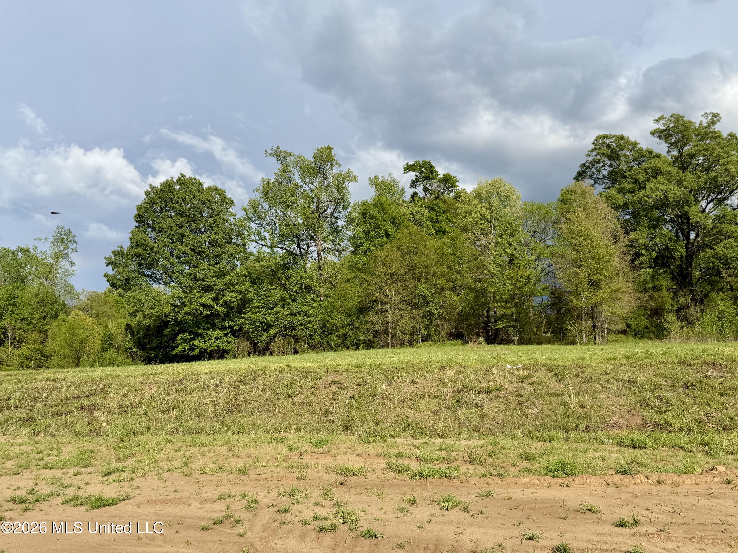 00 Plainview Dr Lot 8 Property Photo 2