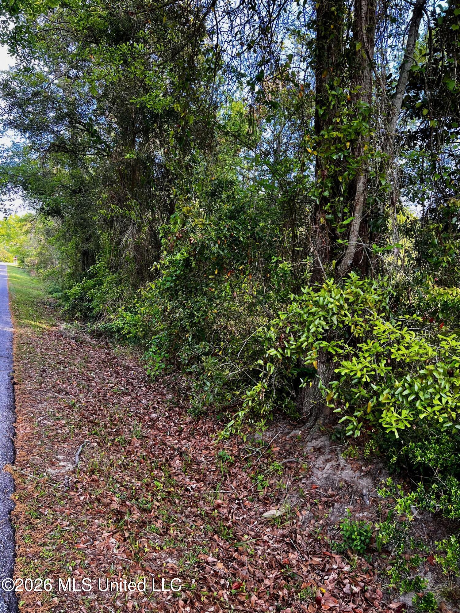 Pine Ridge Drive Property Photo 1
