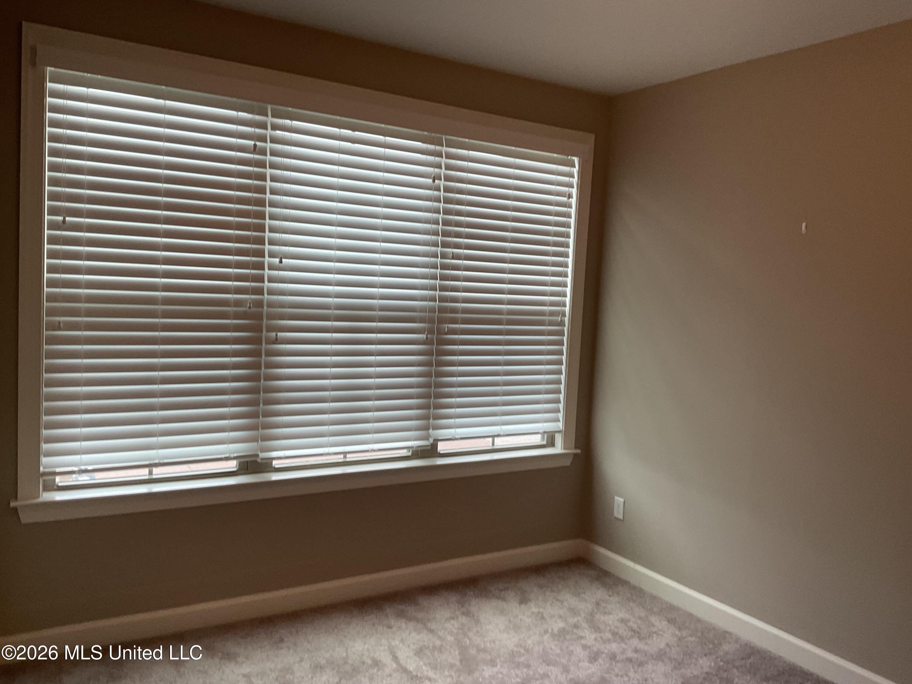 4186 Carolyn Mitchell Drive Property Photo 3