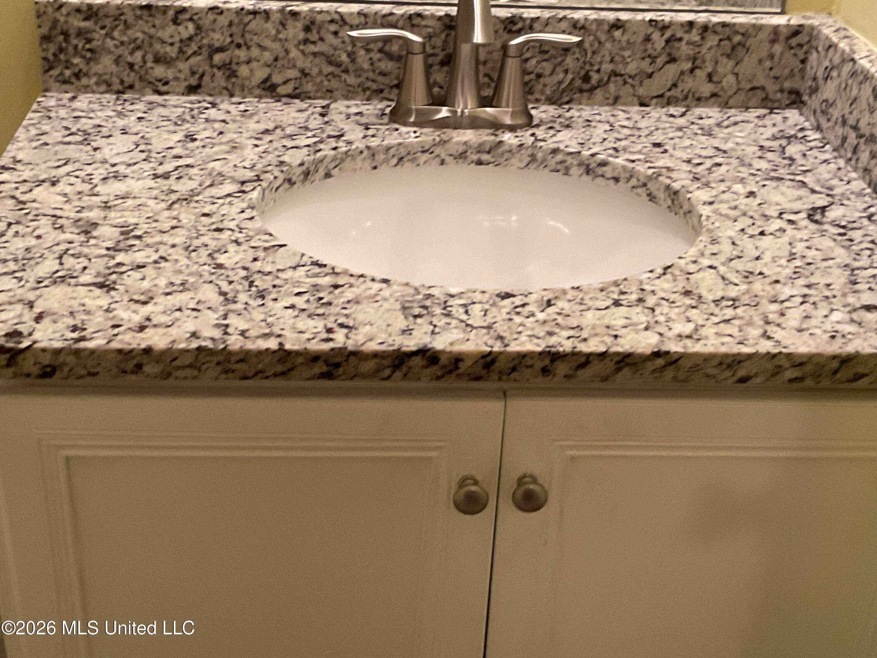 4186 Carolyn Mitchell Drive Property Photo 15