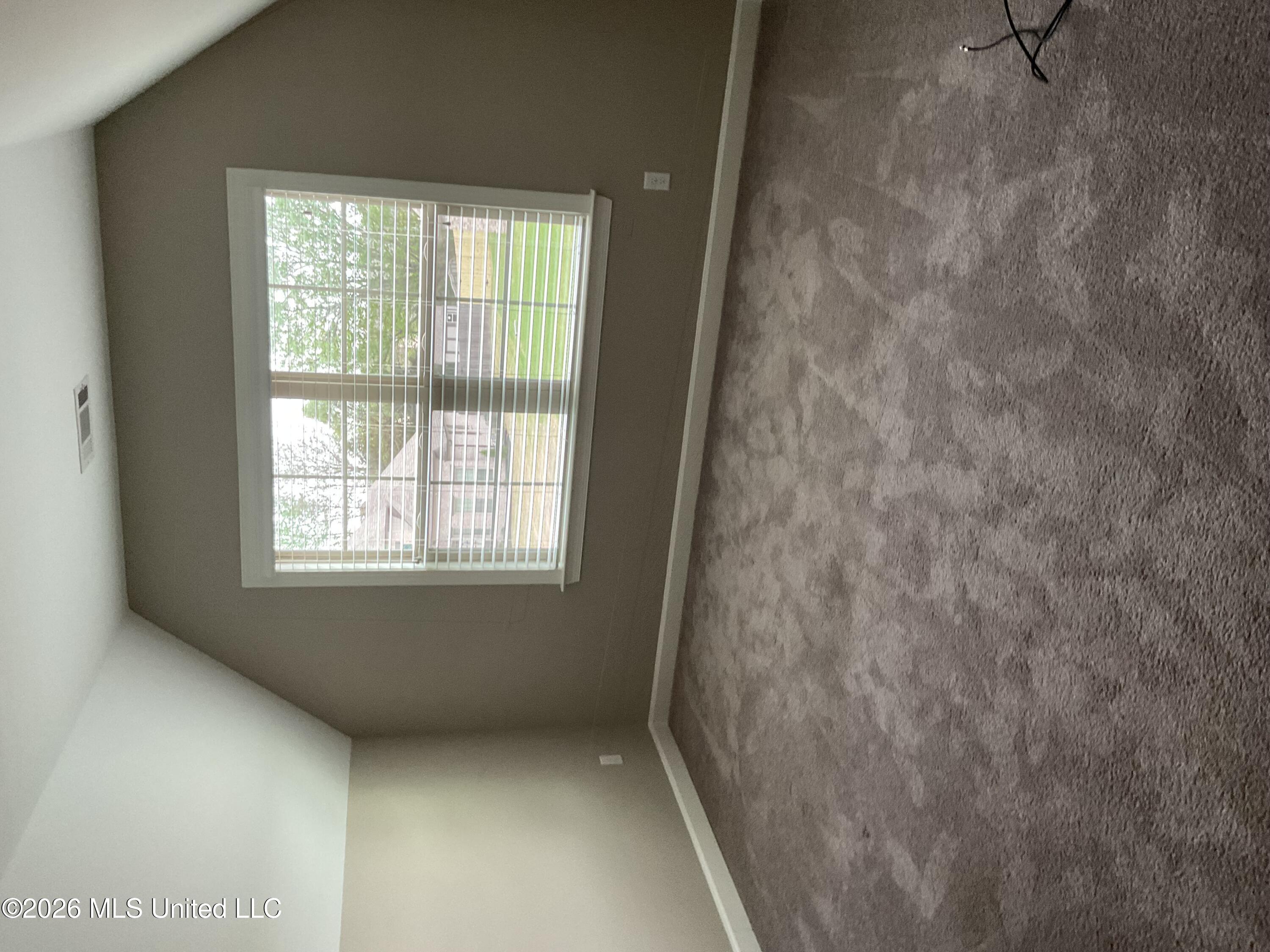 4186 Carolyn Mitchell Drive Property Photo 16