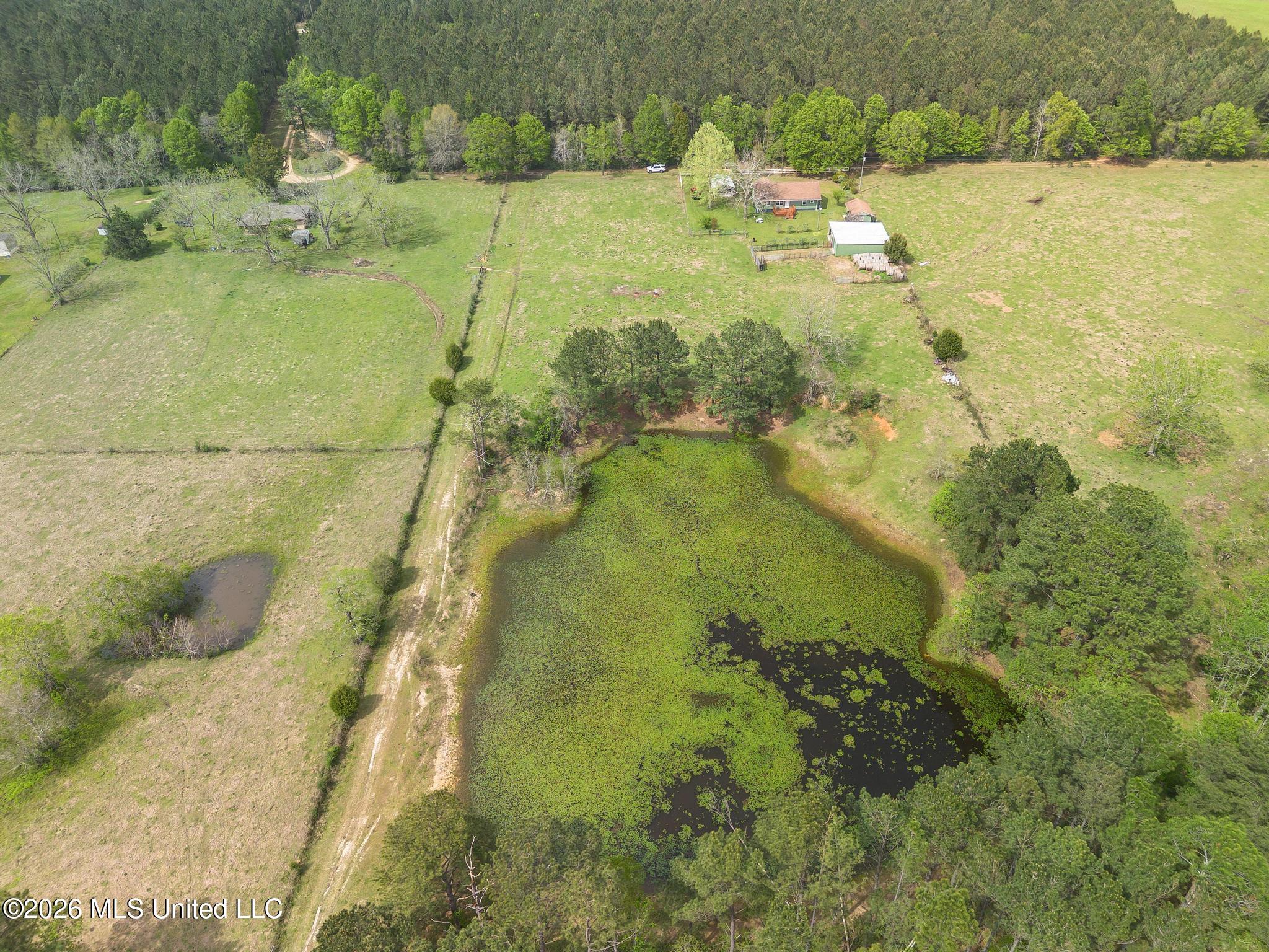 395 Fairley Road Property Photo 10
