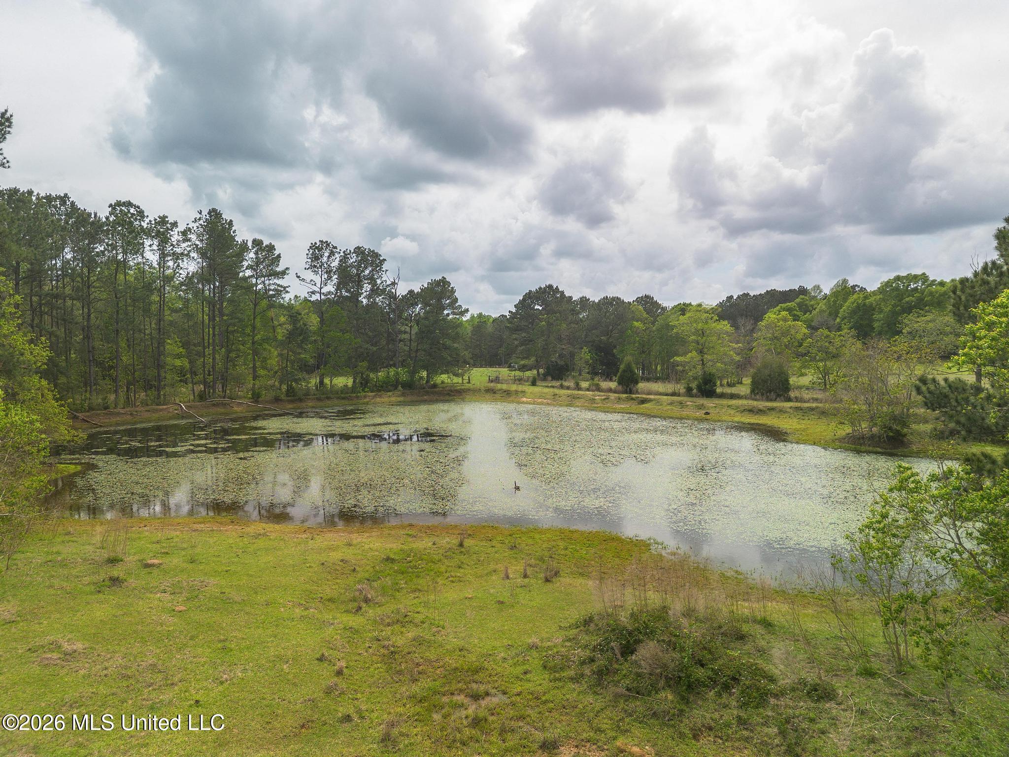 395 Fairley Road Property Photo 11