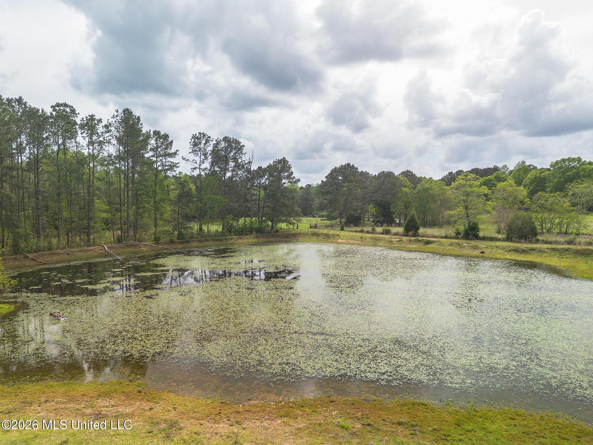 395 Fairley Road Property Photo 12