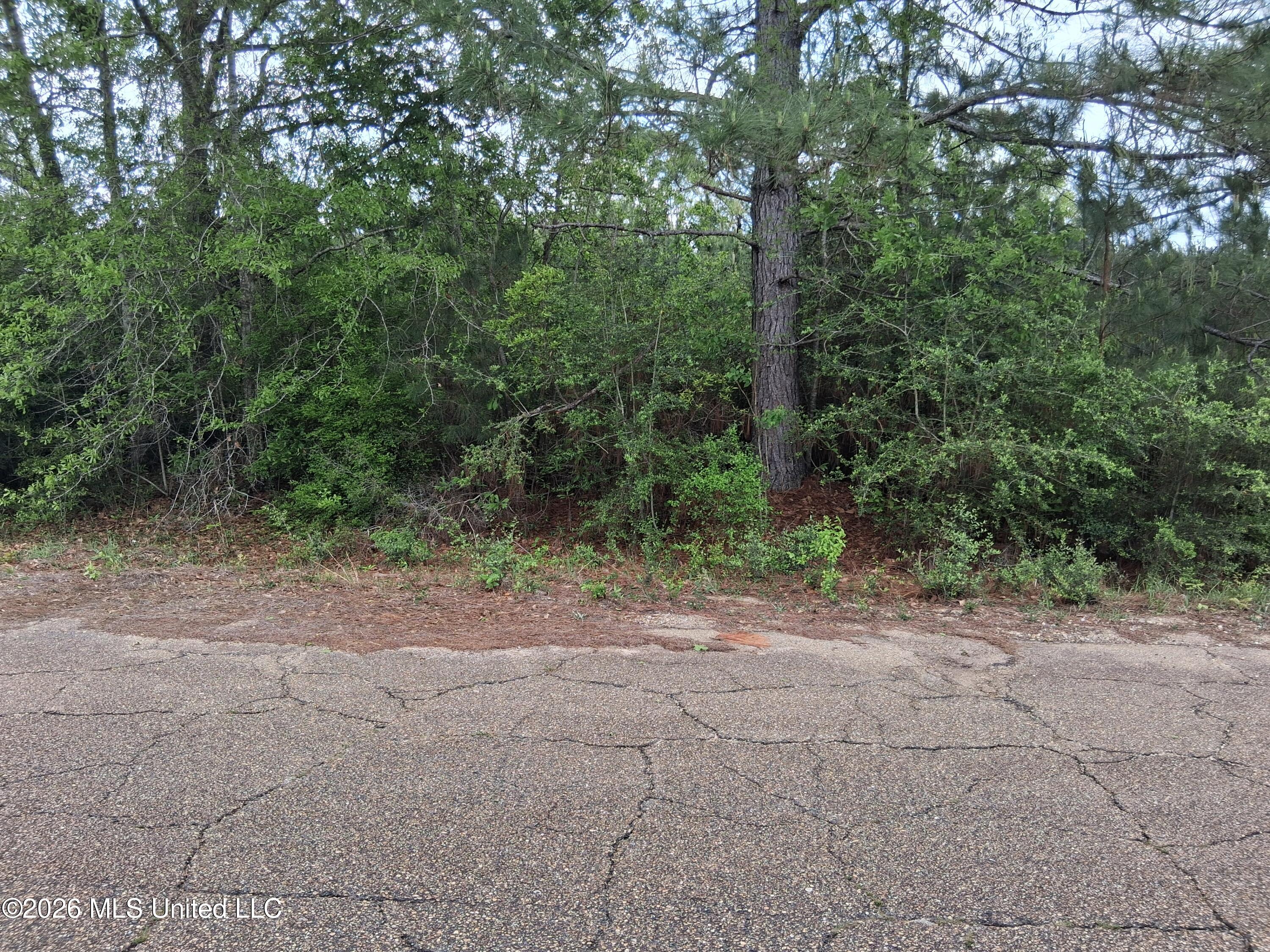 0 Ab Ladner Drive Property Photo 1