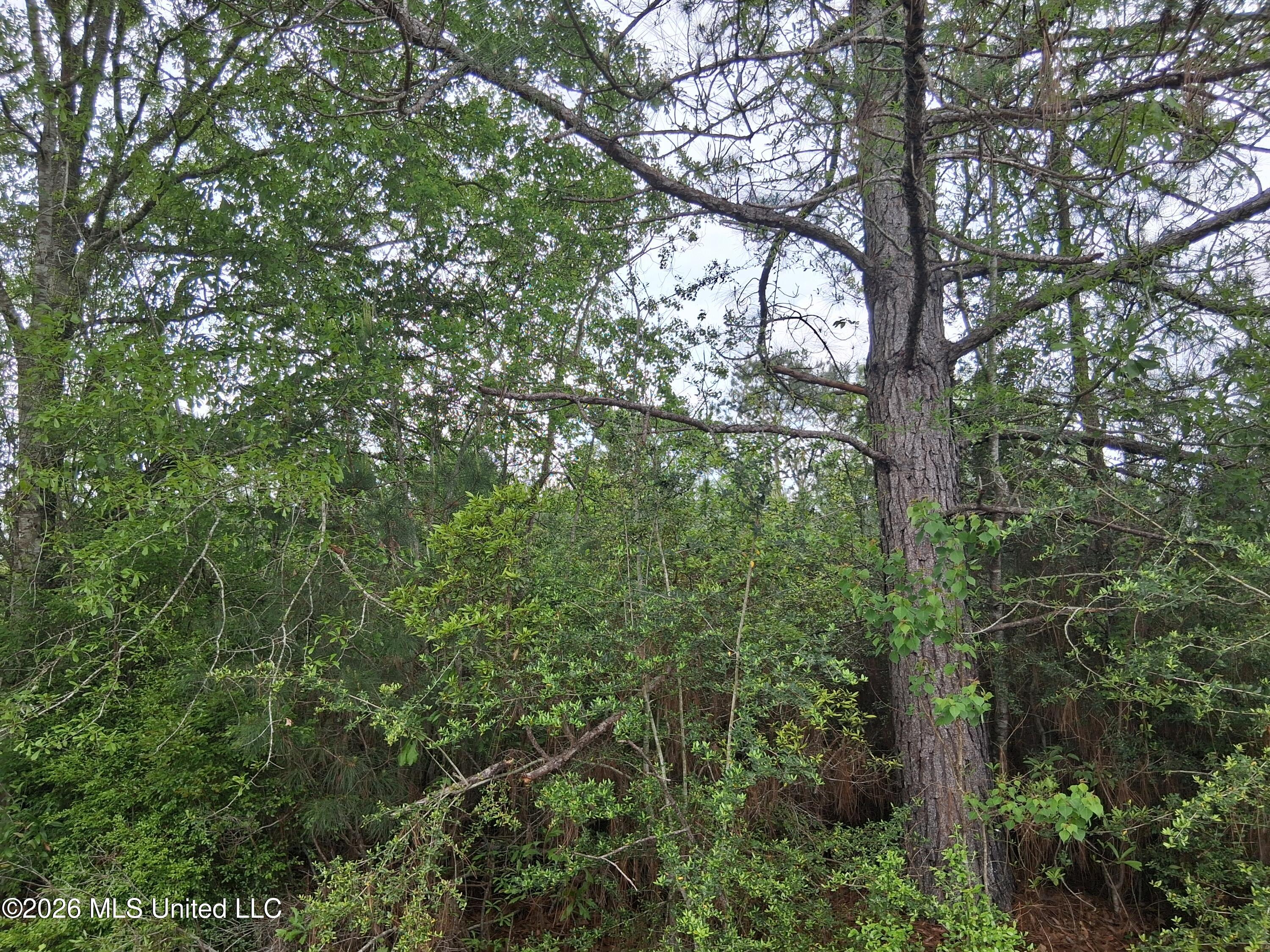 0 Ab Ladner Drive Property Photo 2