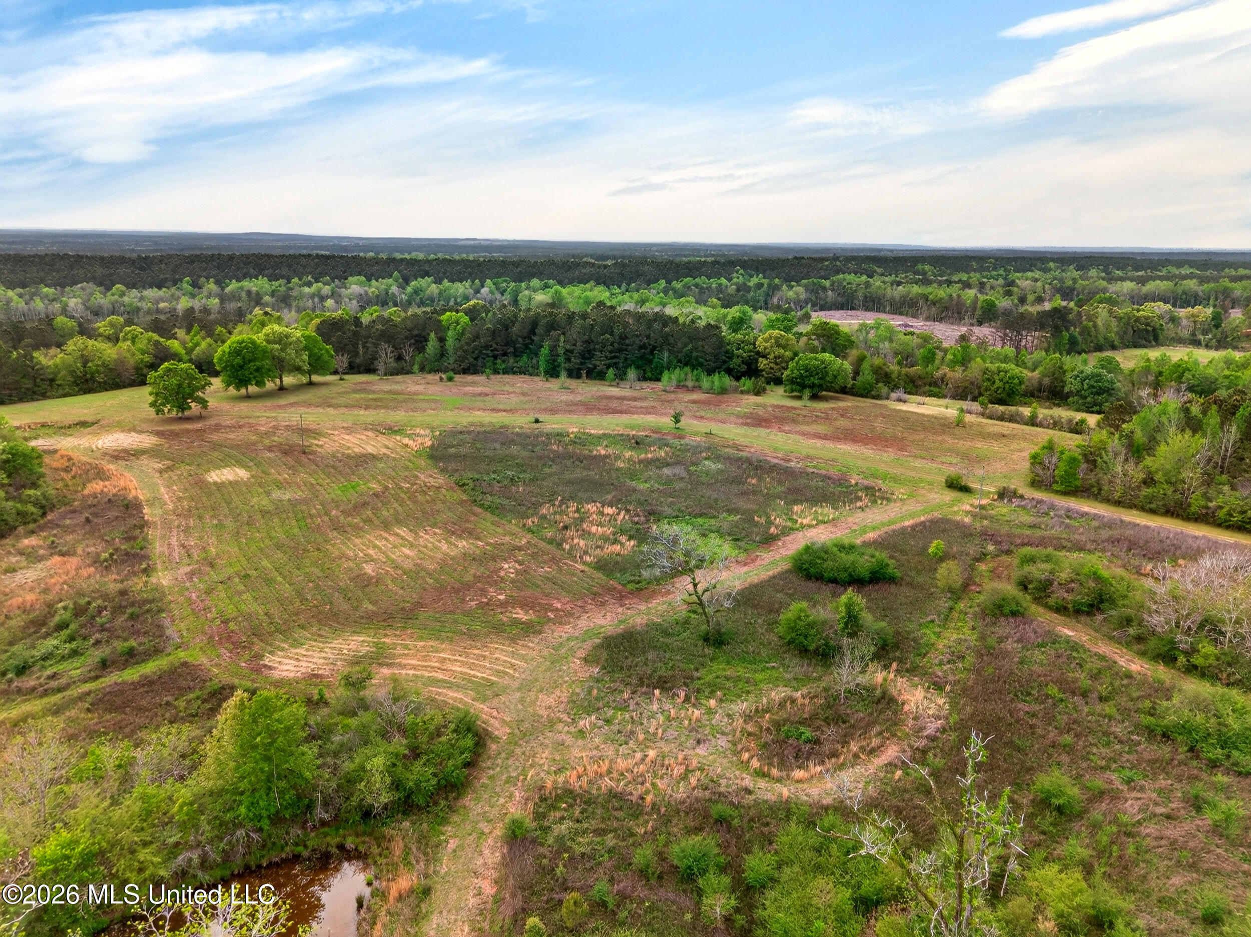 86 Cripple Creek Lane Property Photo 6