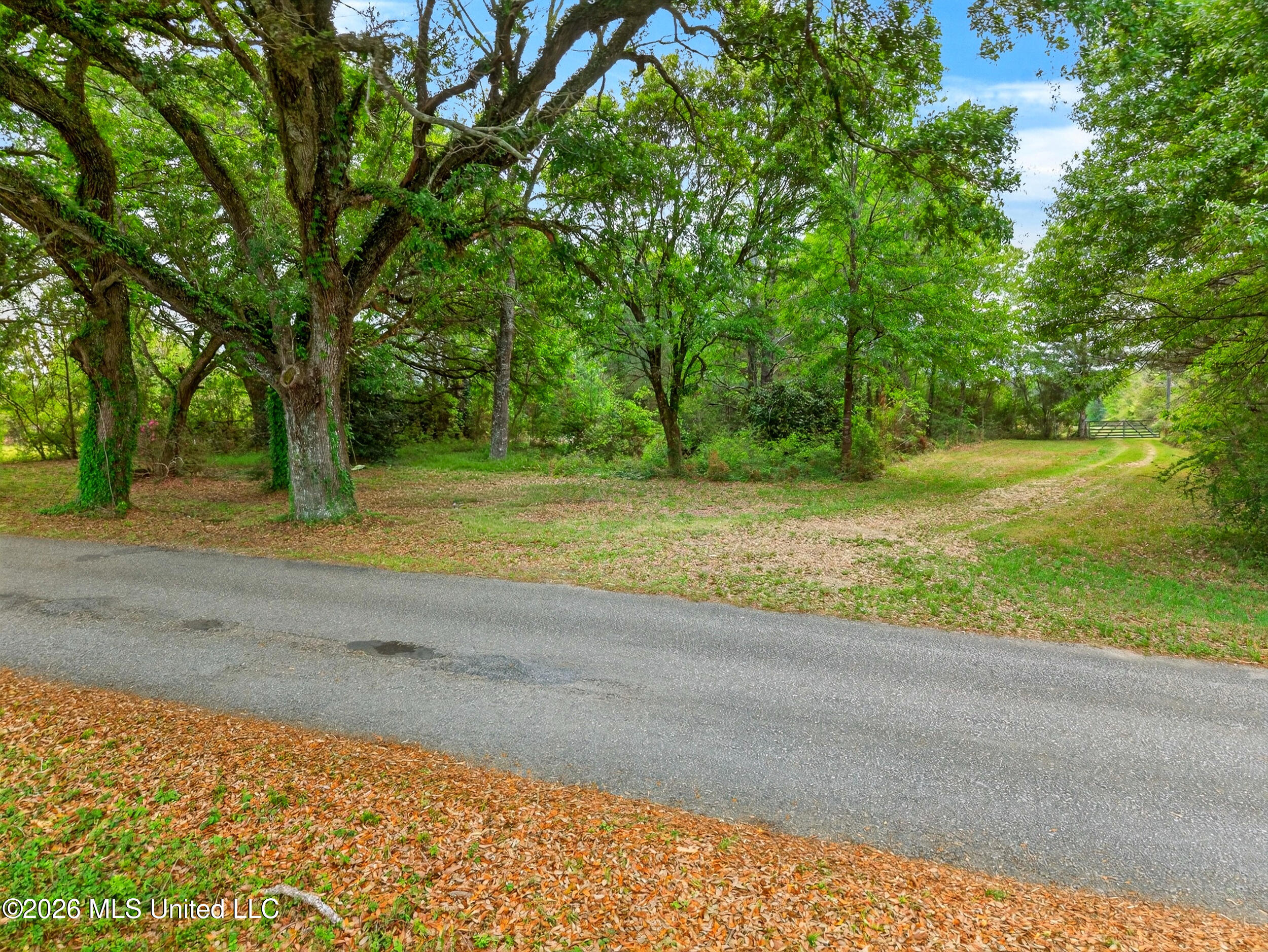 86 Cripple Creek Lane Property Photo 12