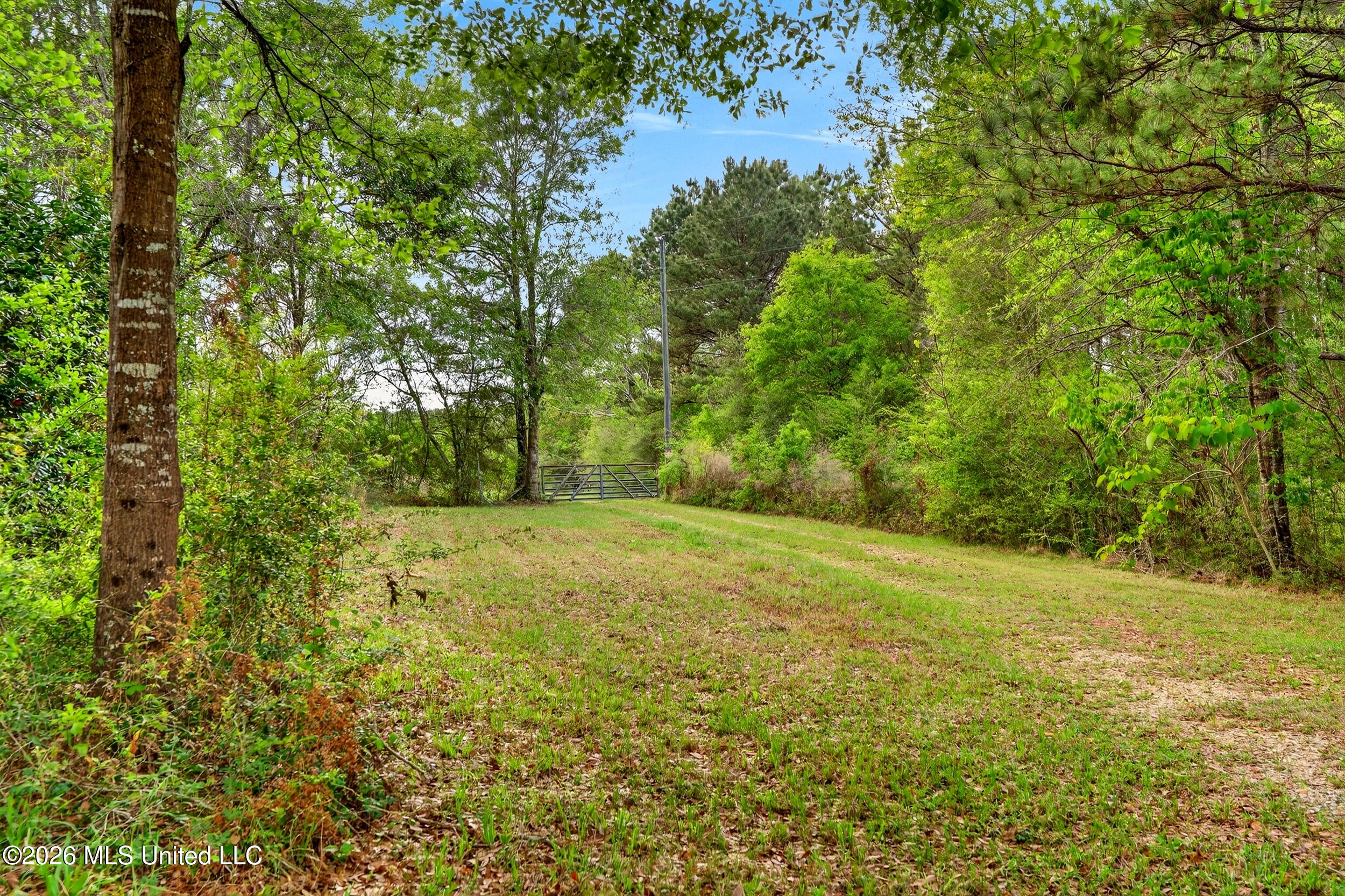 86 Cripple Creek Lane Property Photo 13