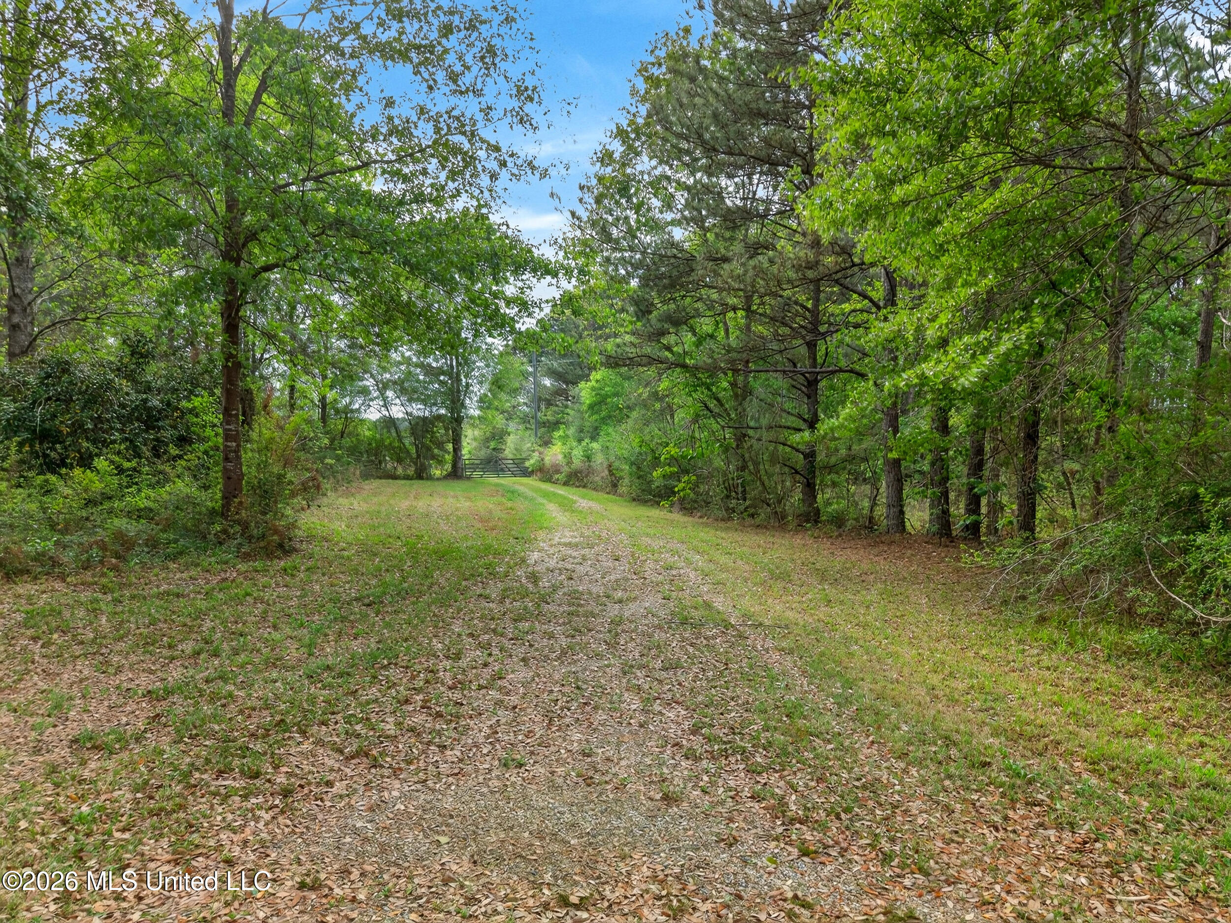 86 Cripple Creek Lane Property Photo 14