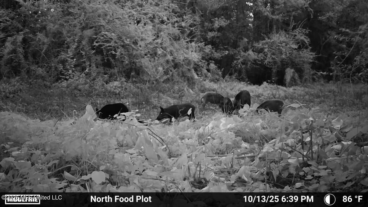 86 Cripple Creek Lane Property Photo 32