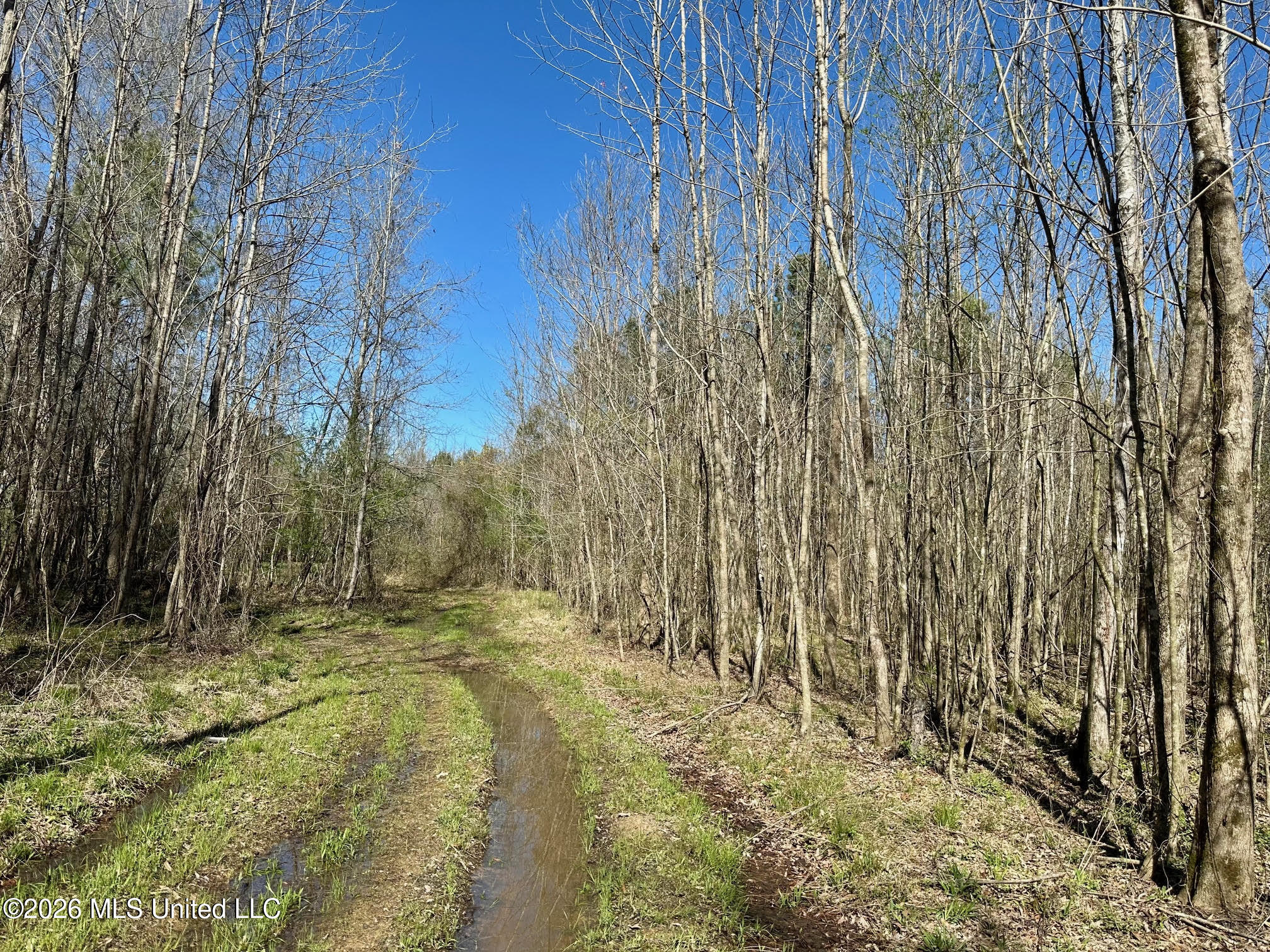 0 Swamp Road Property Photo 1