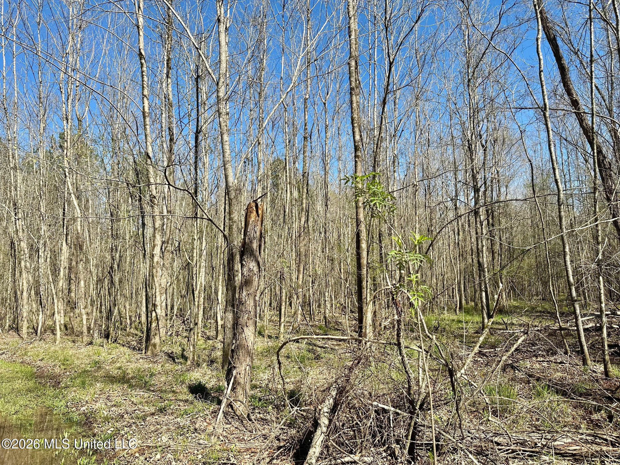 0 Swamp Road Property Photo 2