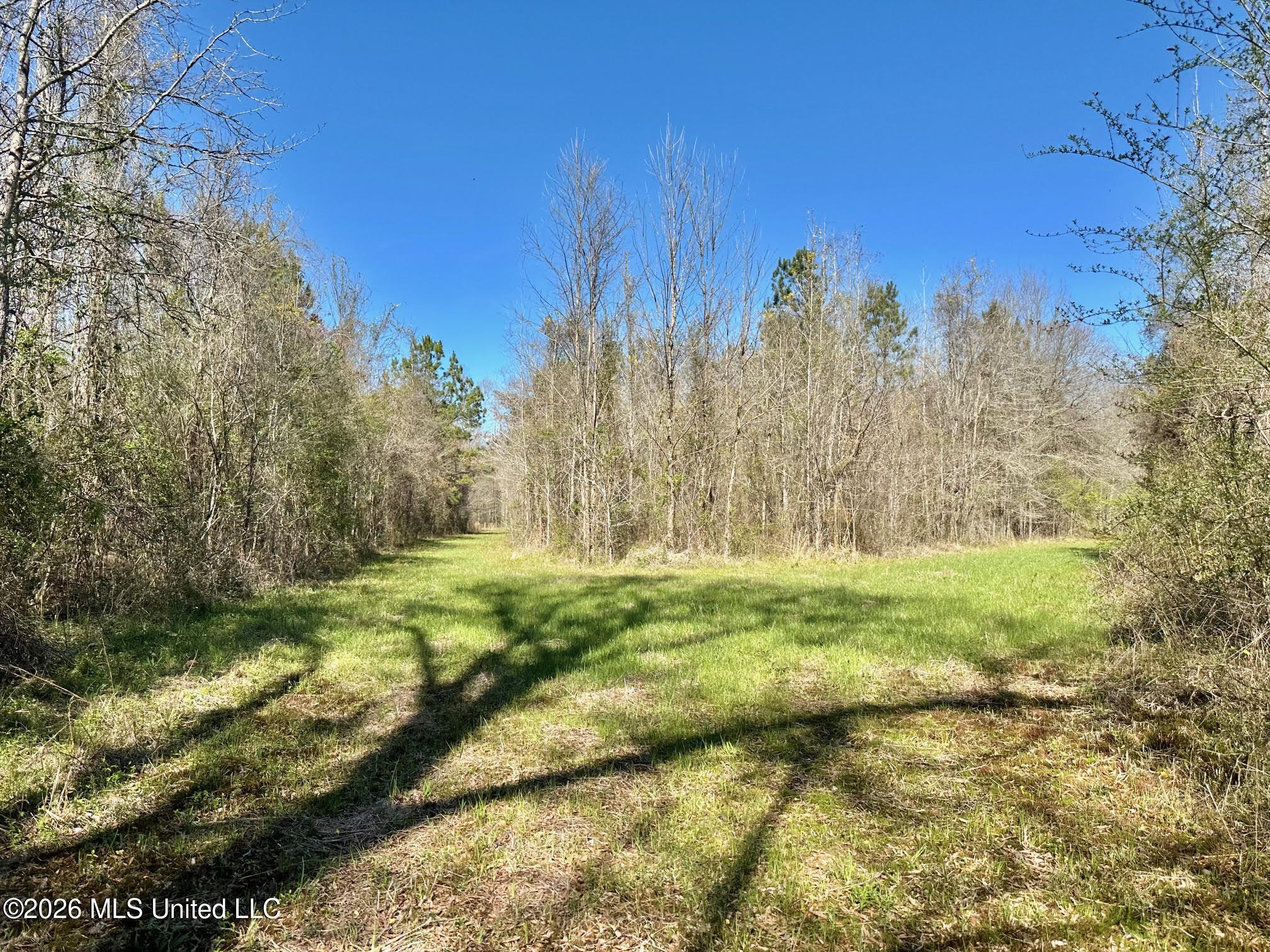 0 Swamp Road Property Photo 3