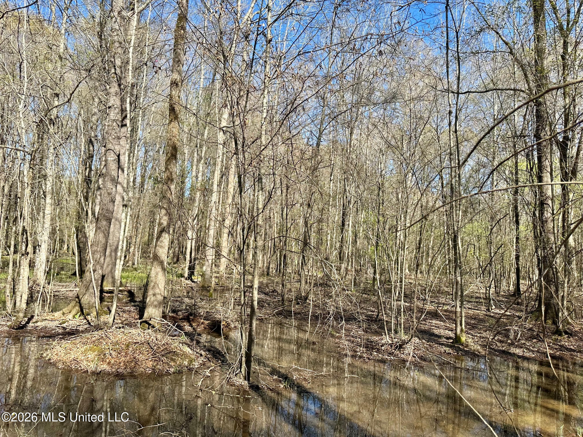 0 Swamp Road Property Photo 4