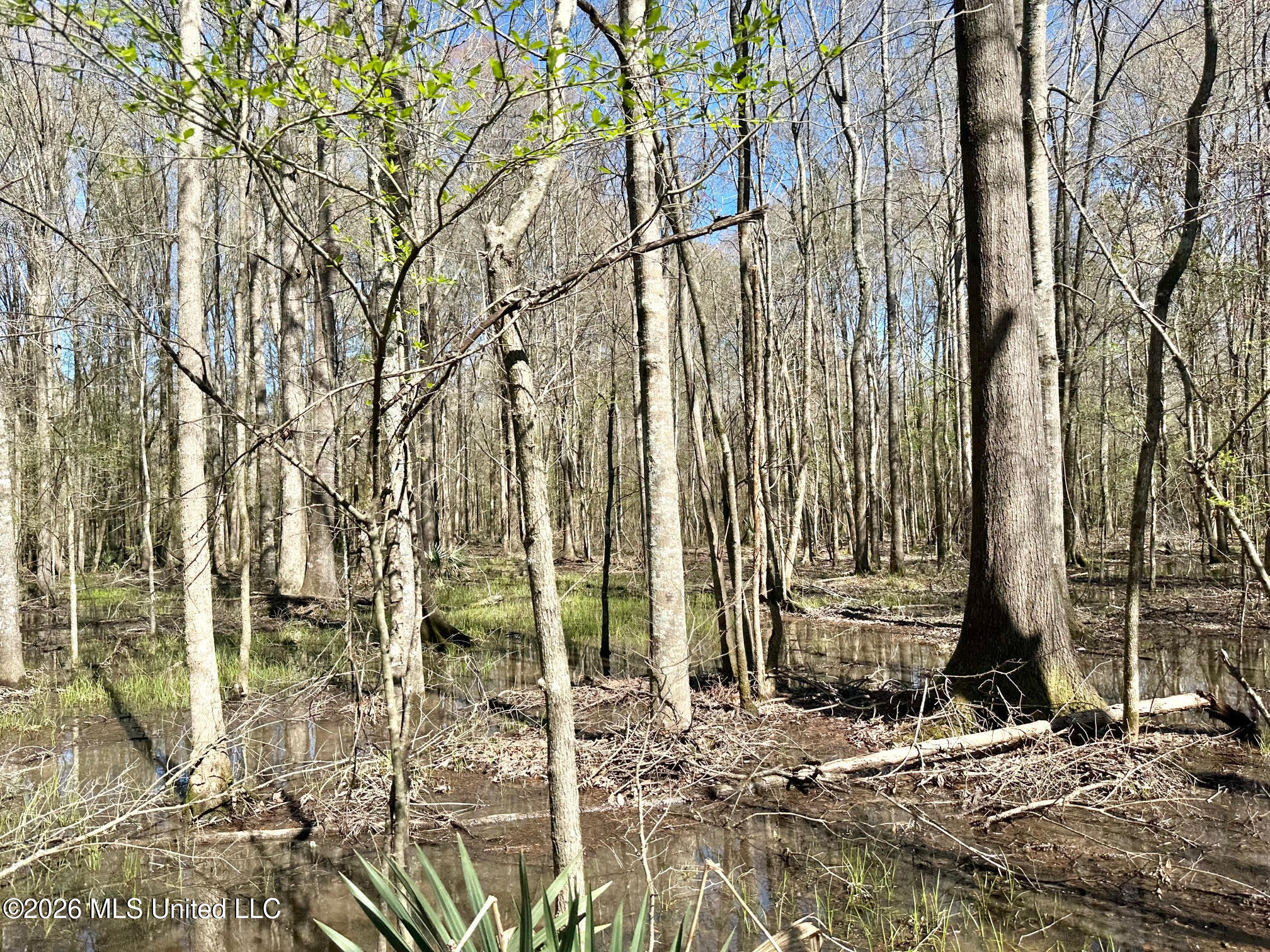 0 Swamp Road Property Photo 5