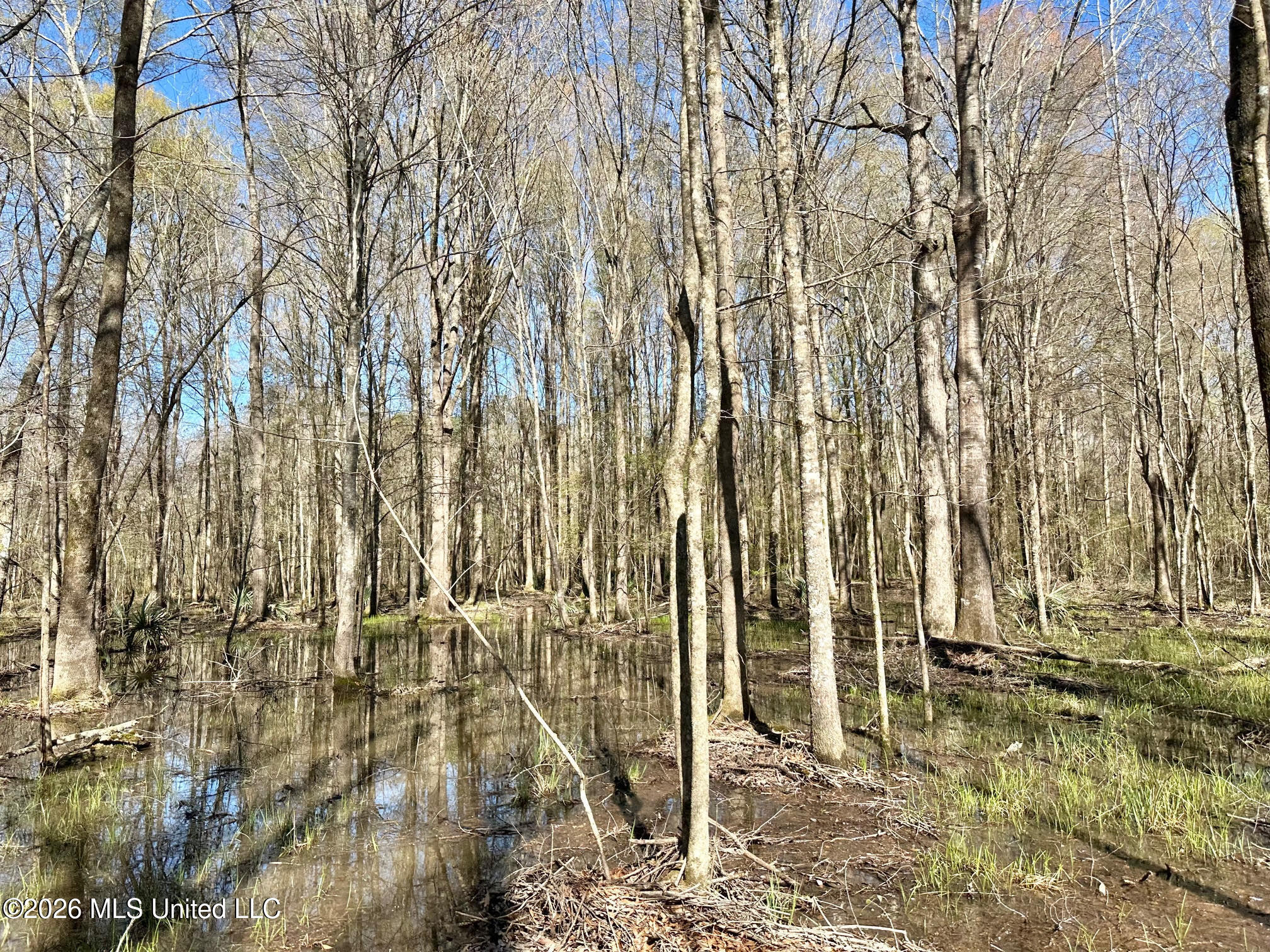 0 Swamp Road Property Photo 6