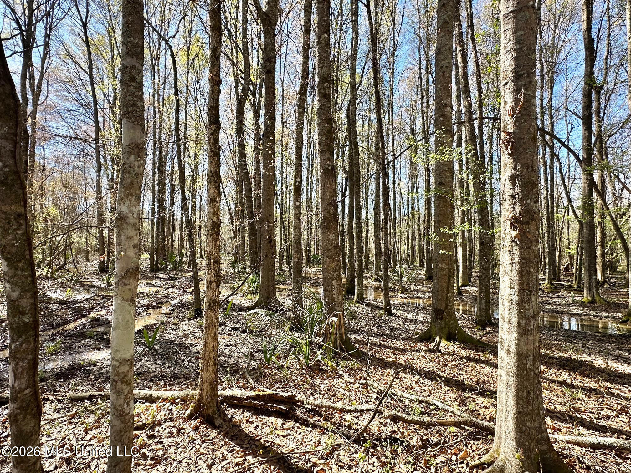 0 Swamp Road Property Photo 7