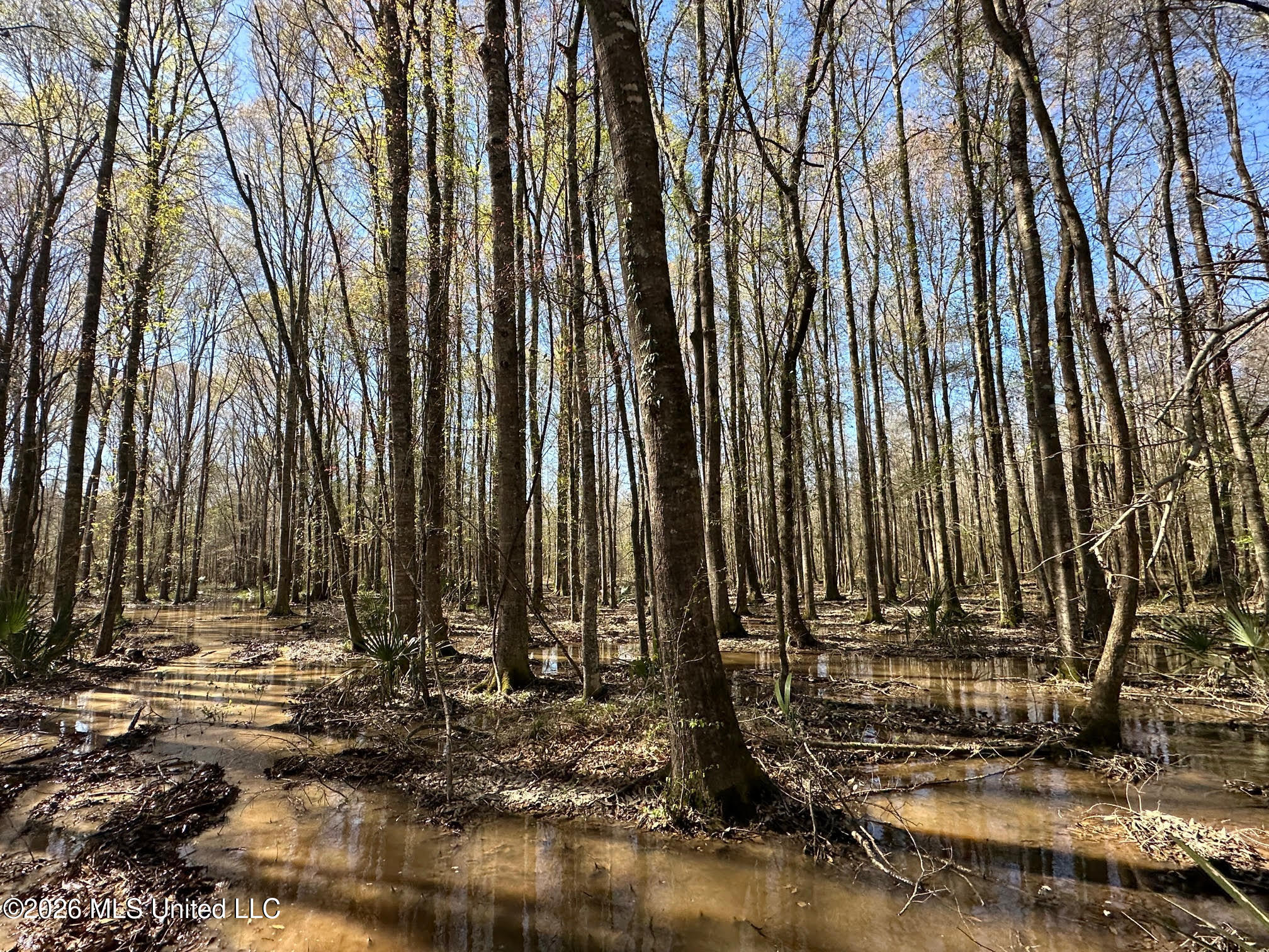 0 Swamp Road Property Photo 8