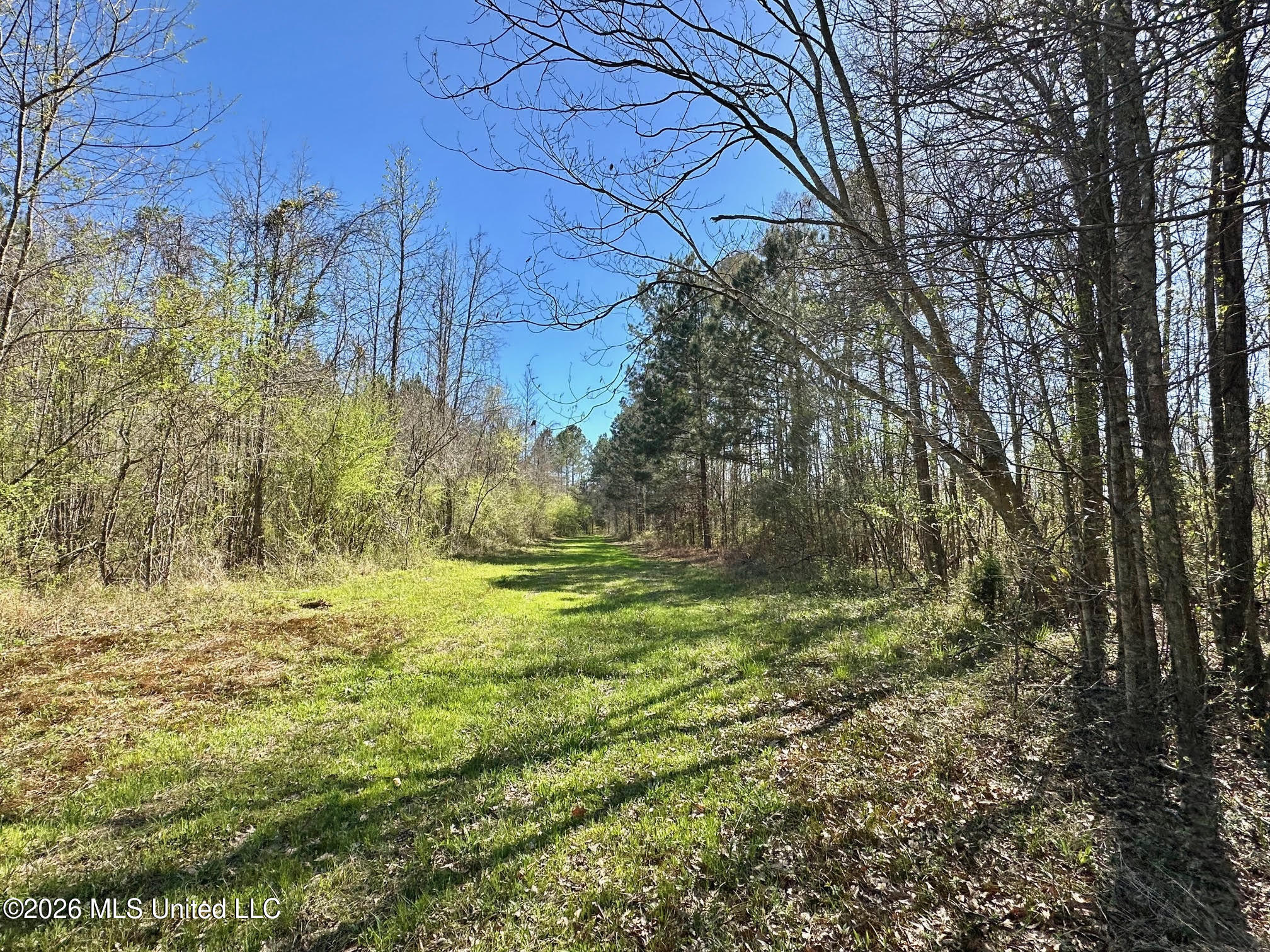 0 Swamp Road Property Photo 9